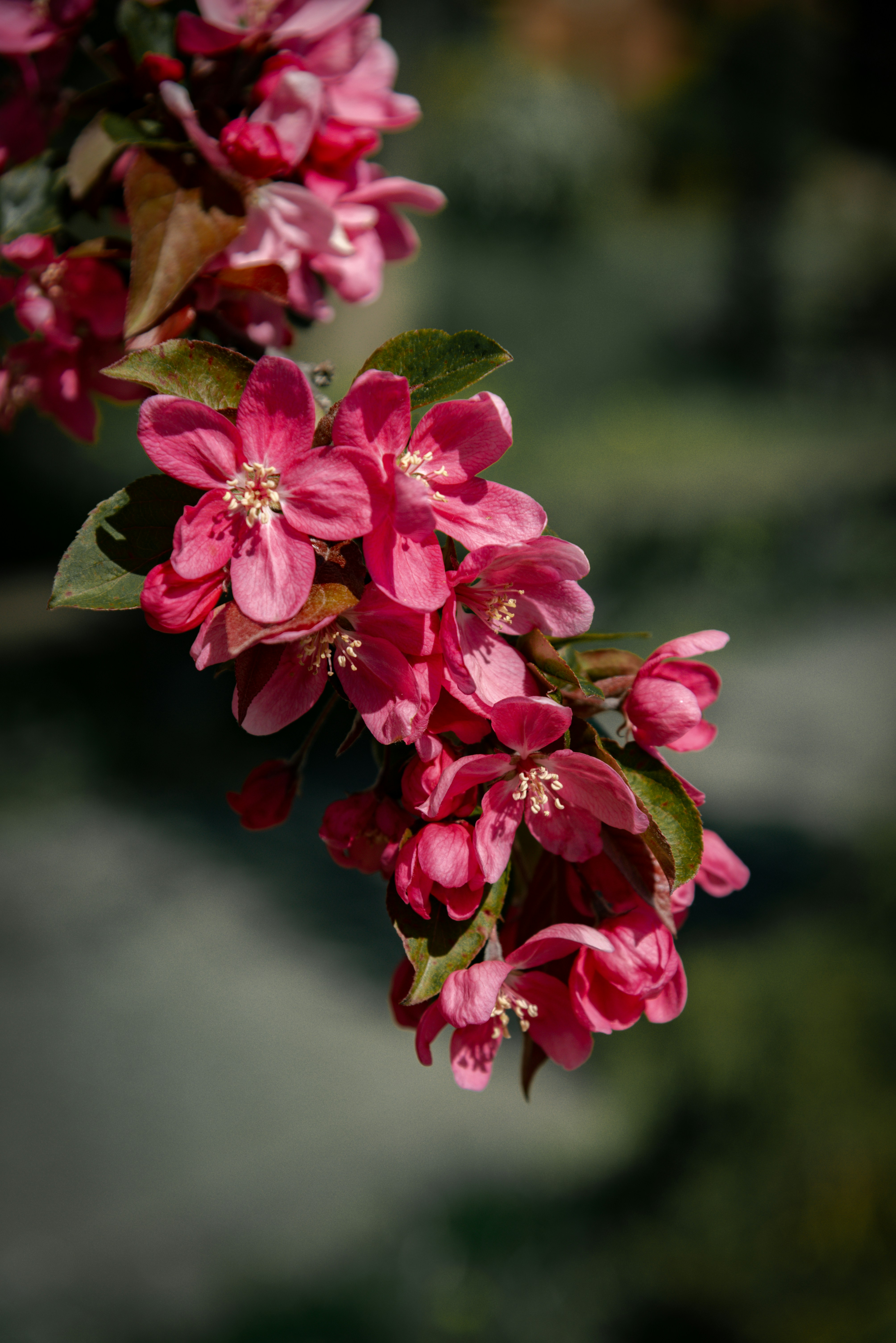 Photo by malwinanogaj