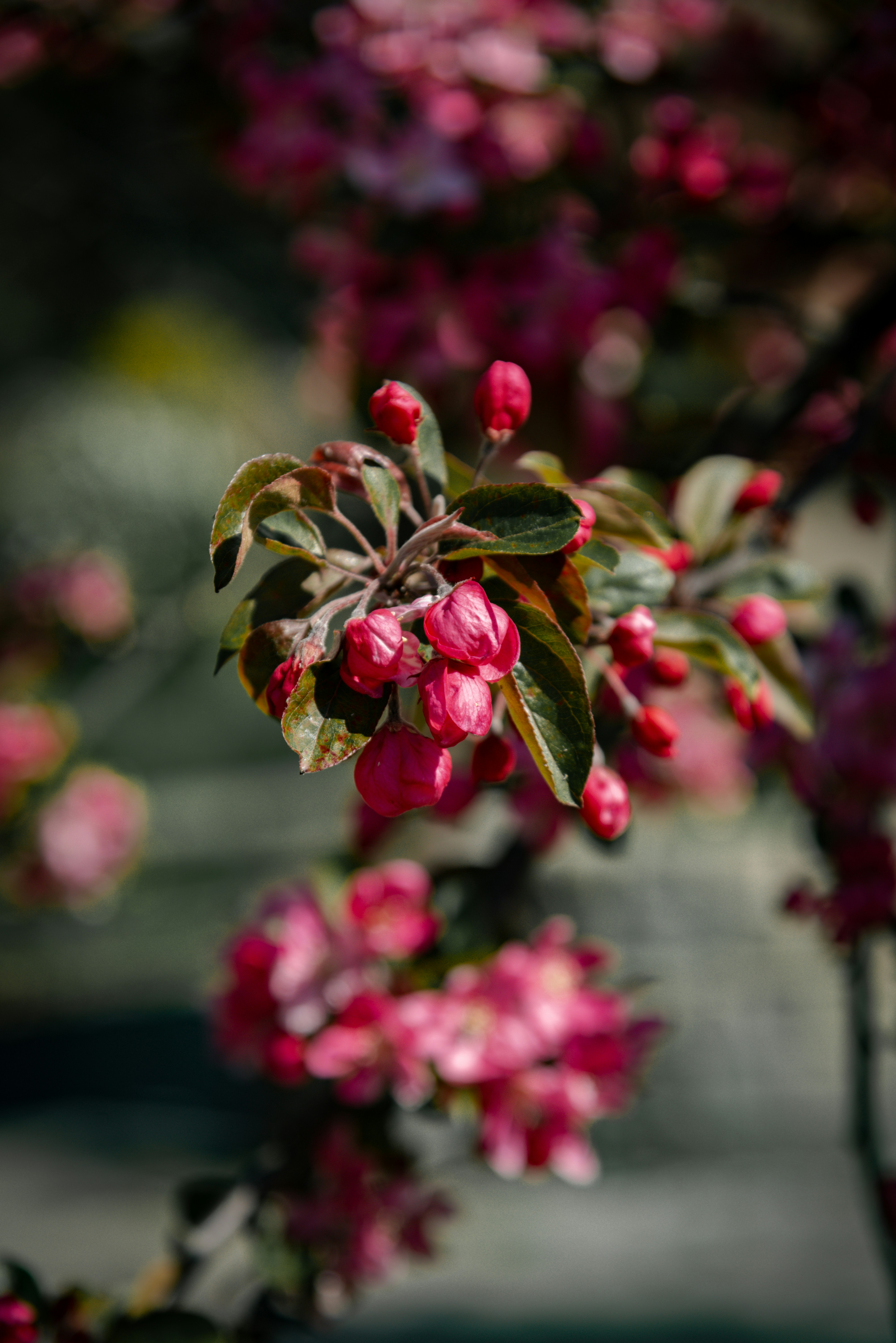 Photo by malwinanogaj