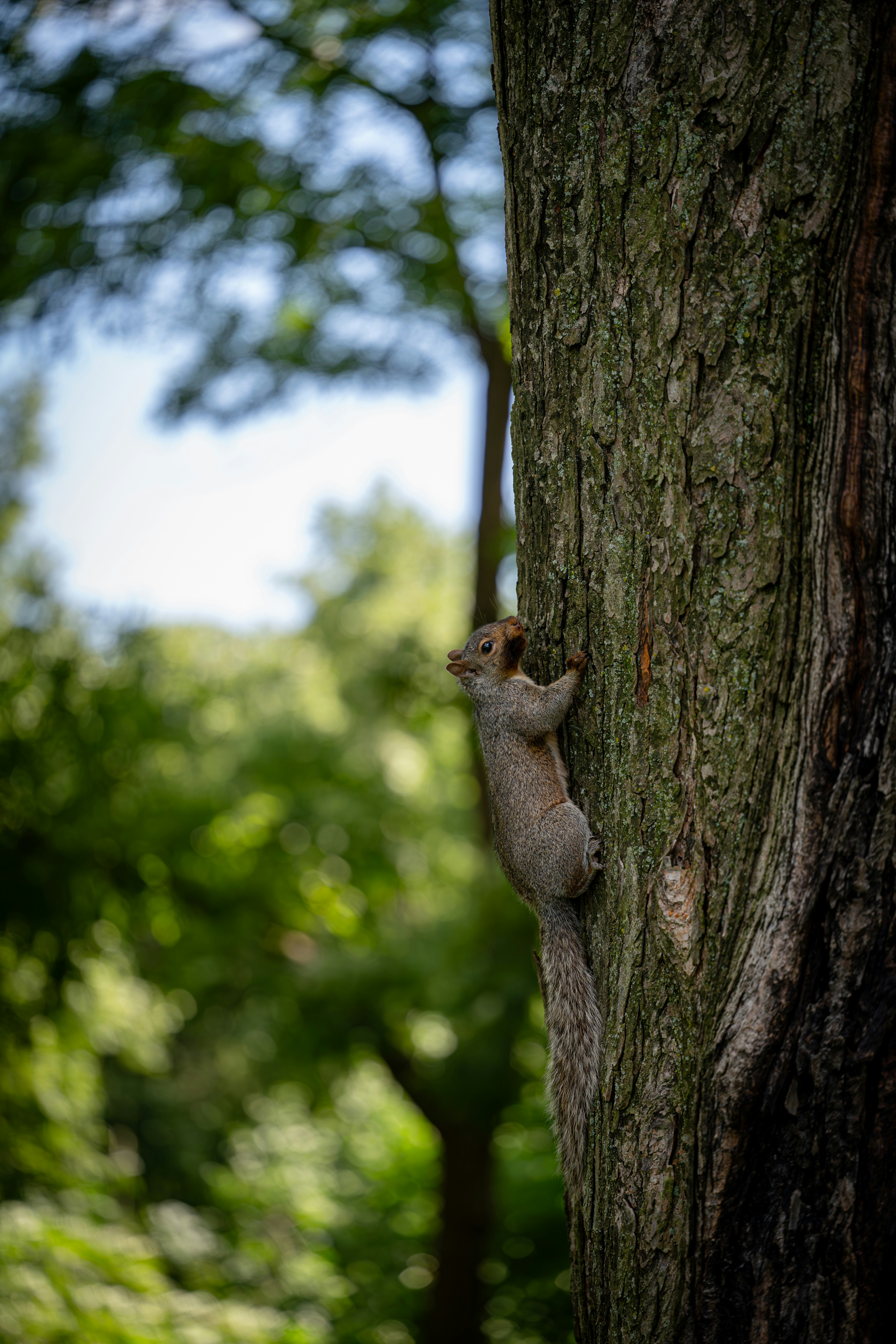 Photo by pouria_faraji