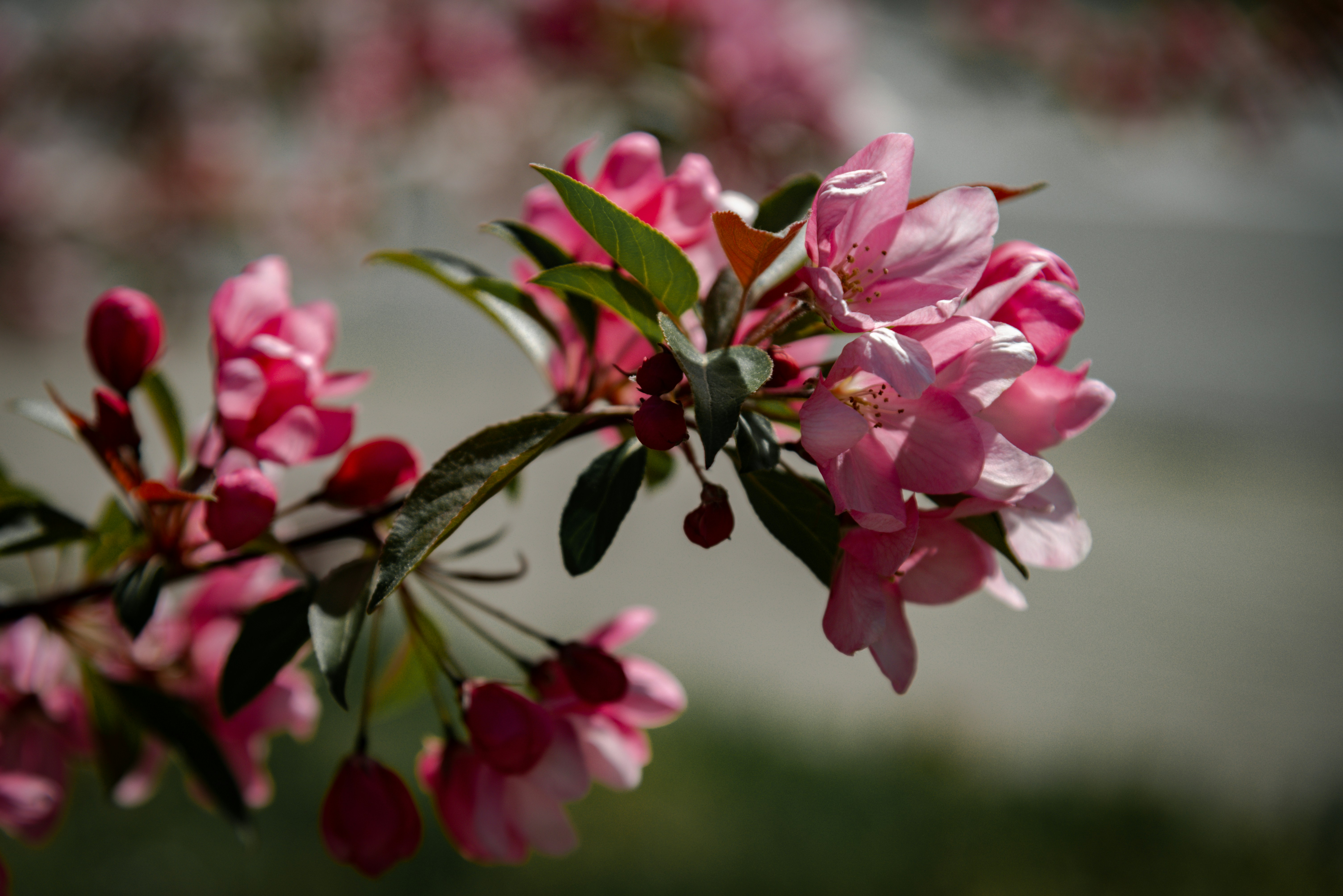 Photo by malwinanogaj