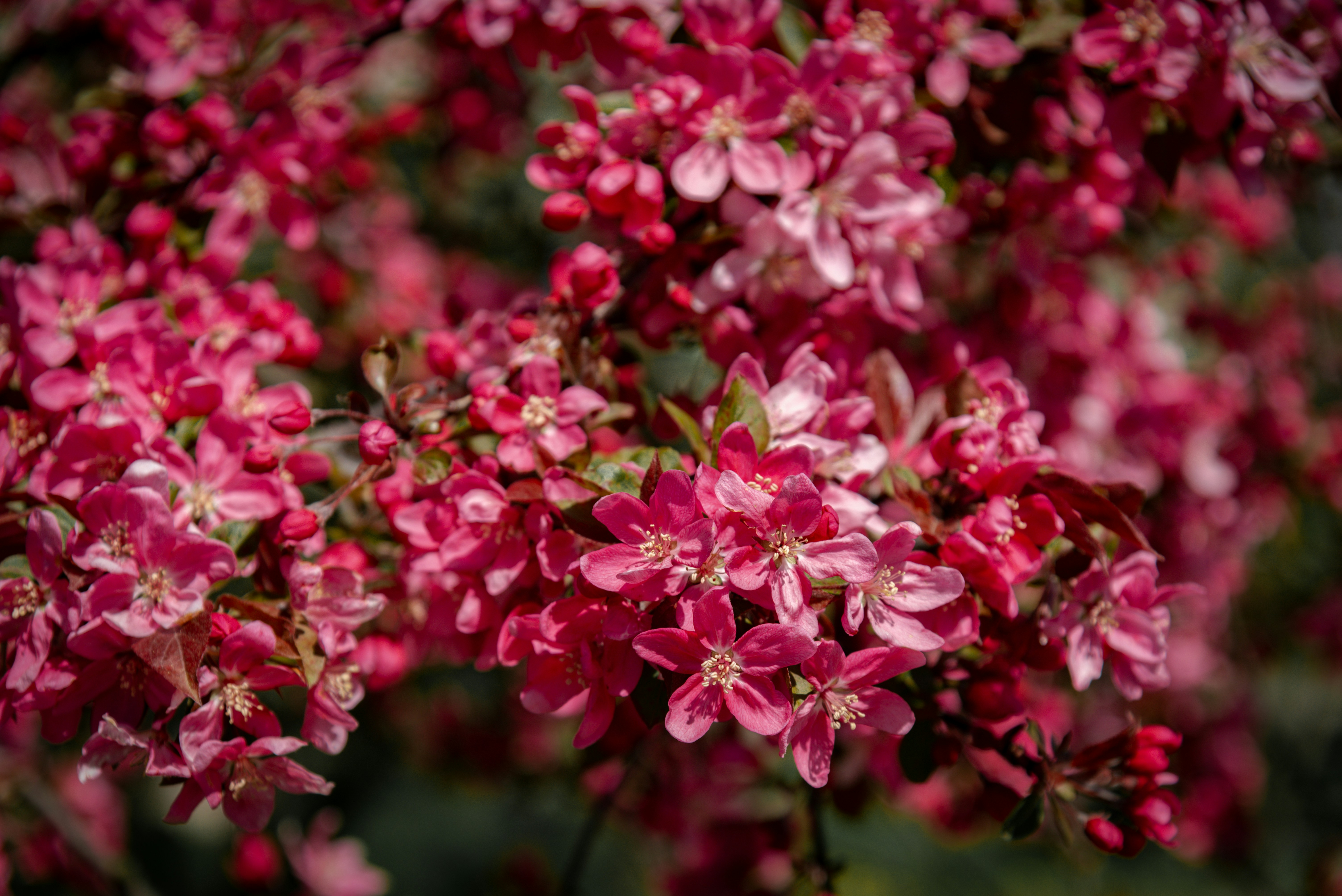 Photo by malwinanogaj