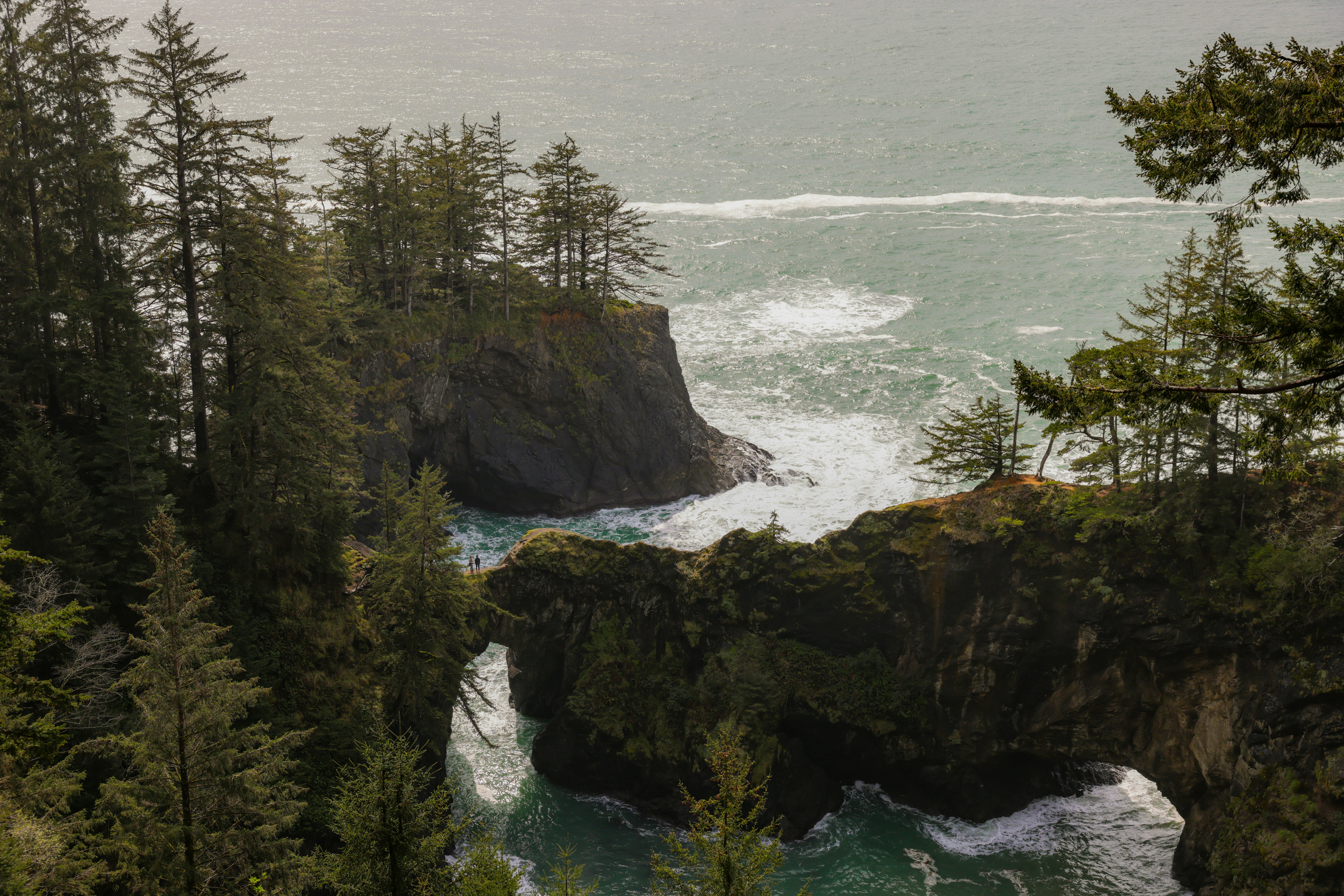 Photo by casunshine0508