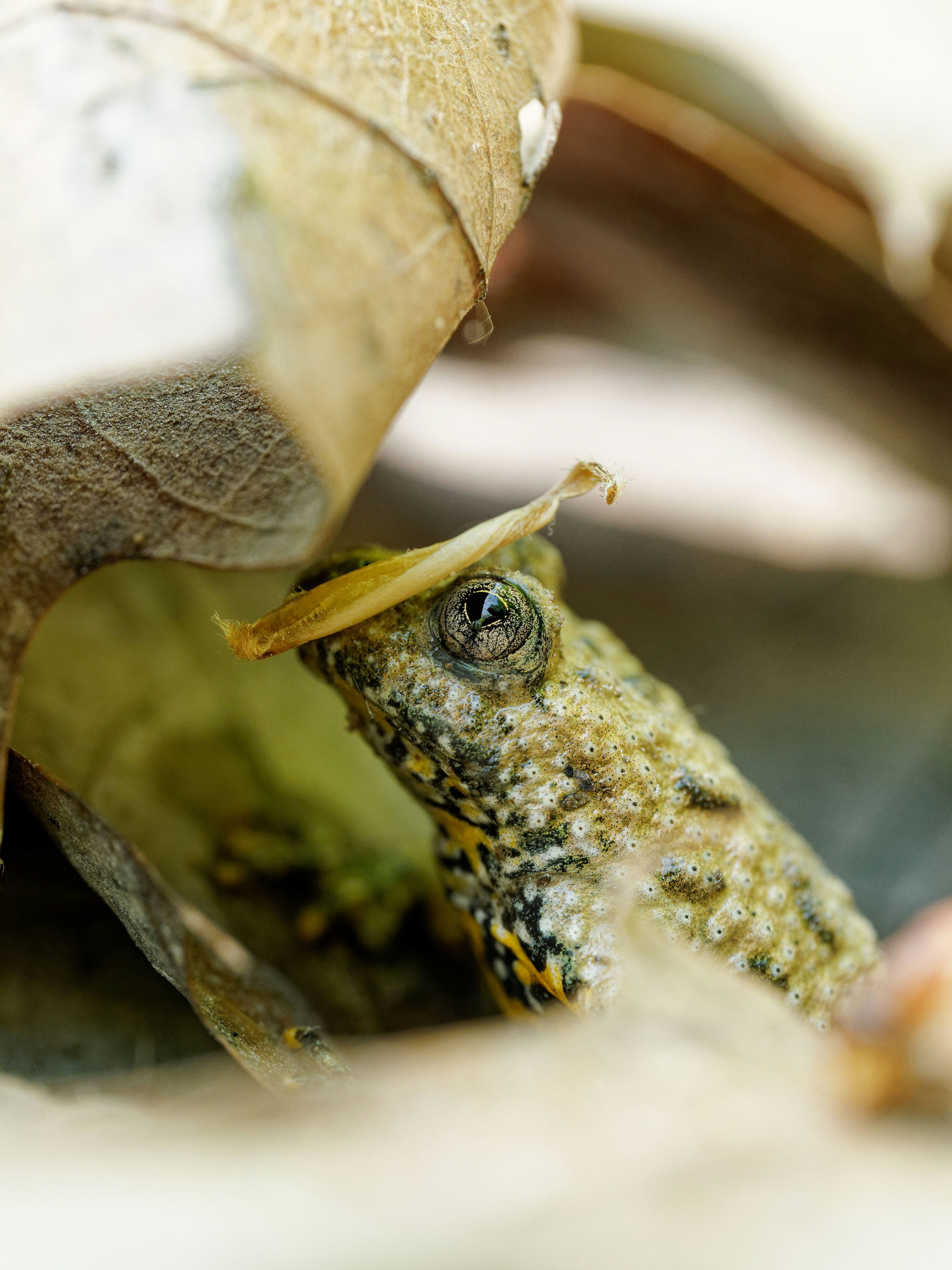 Photo by illes_cristi