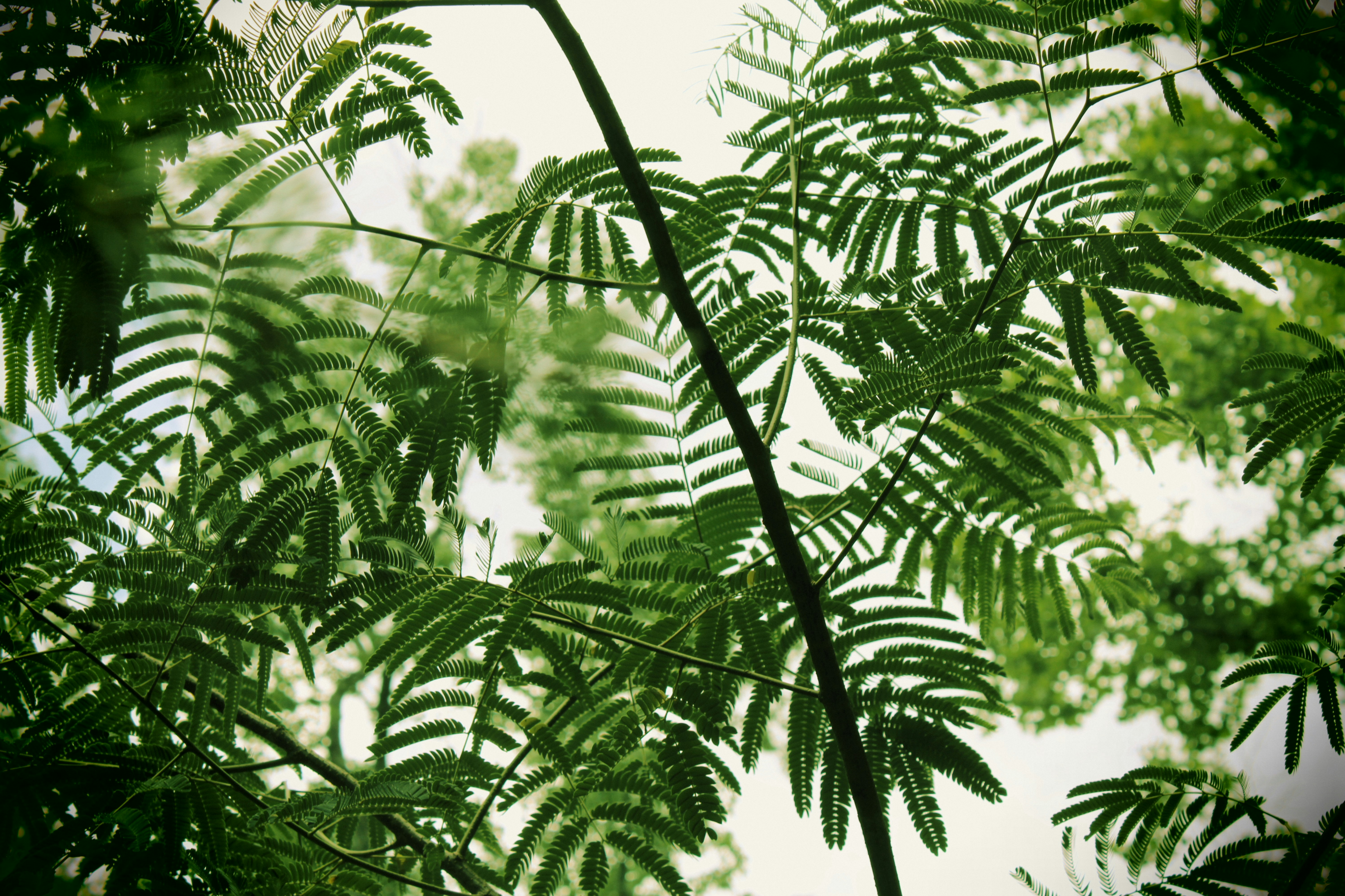 Photo by veronicapotter