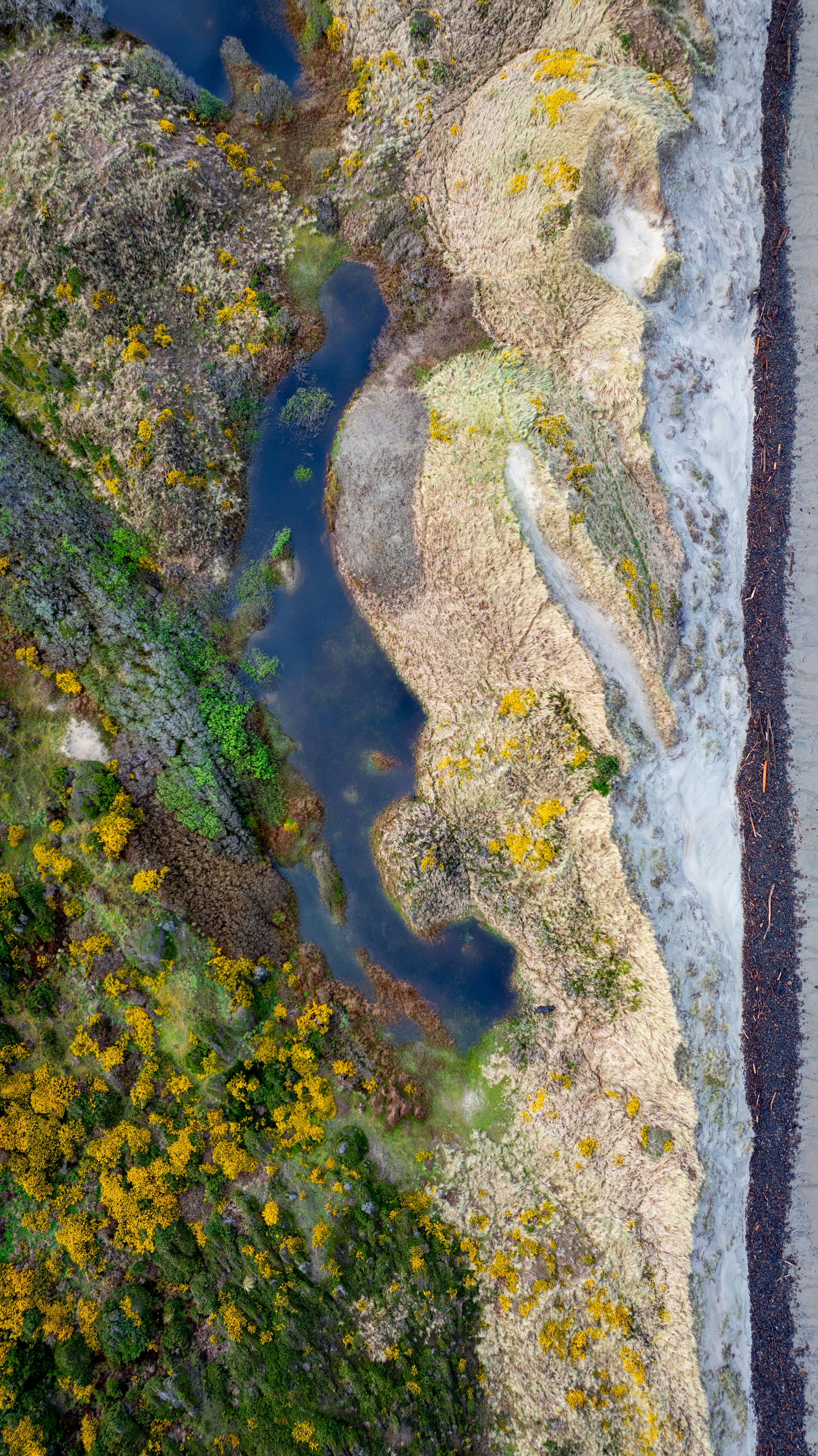 Photo by casunshine0508