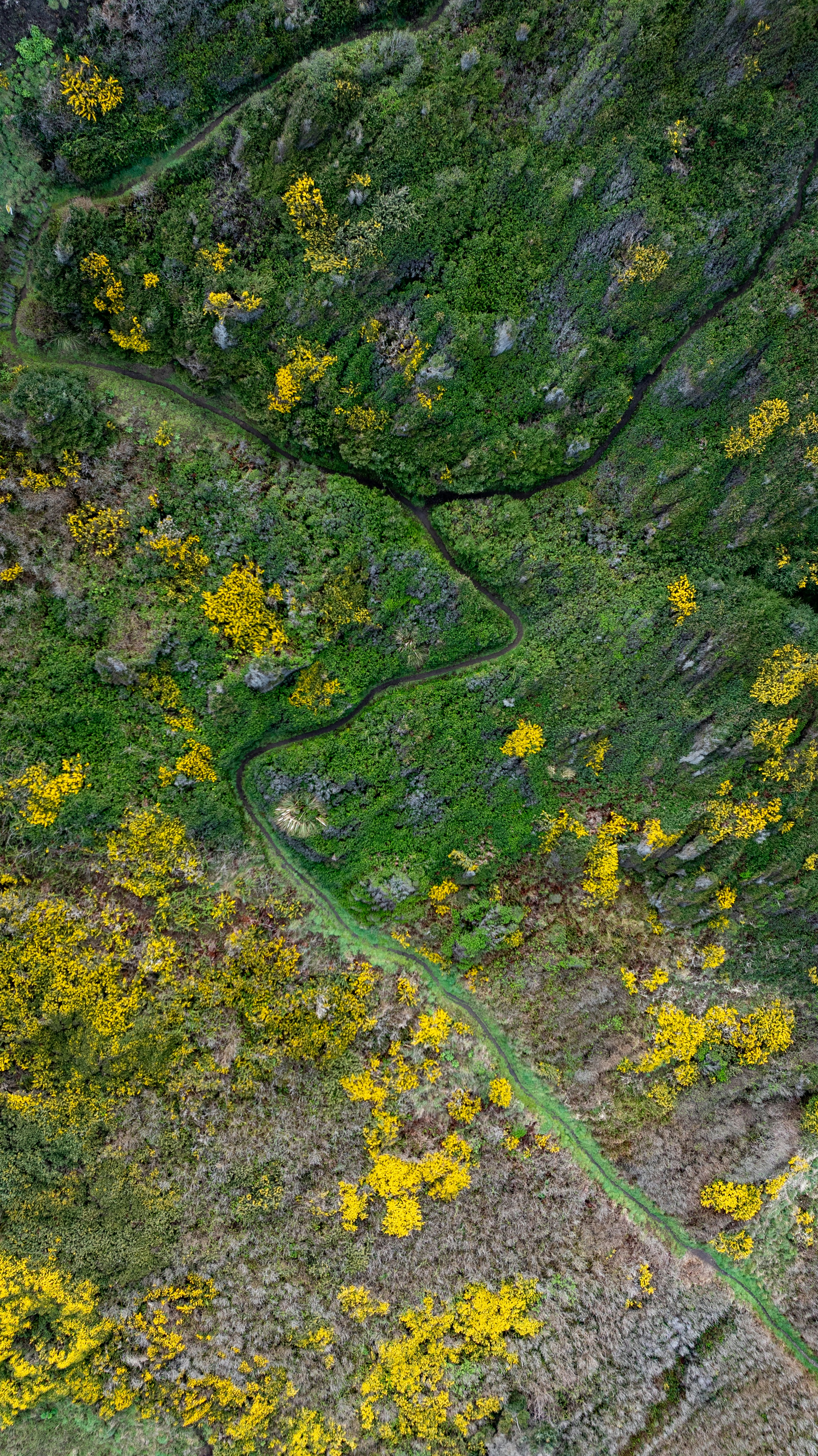 Photo by casunshine0508