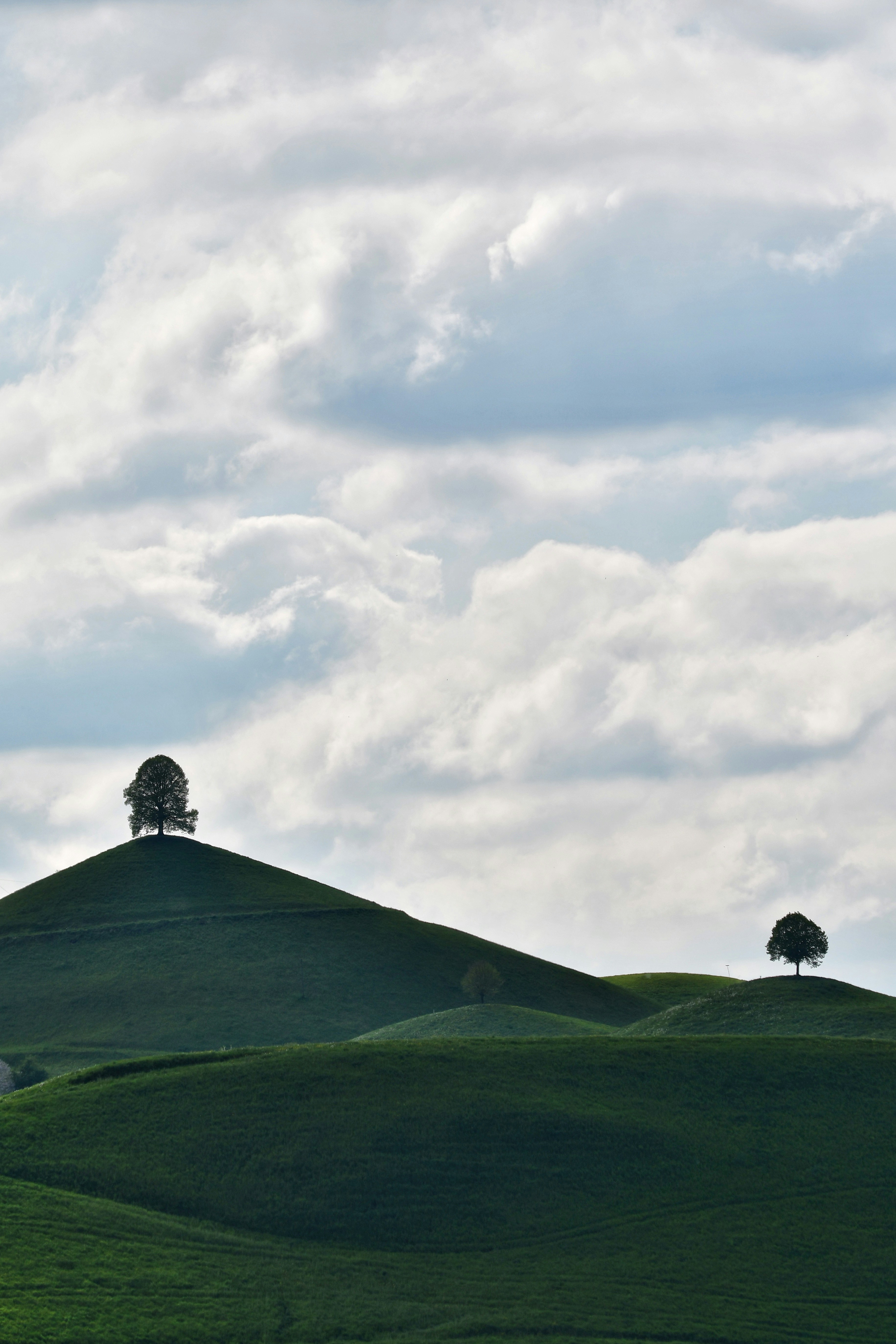 Photo by pedrino5_official