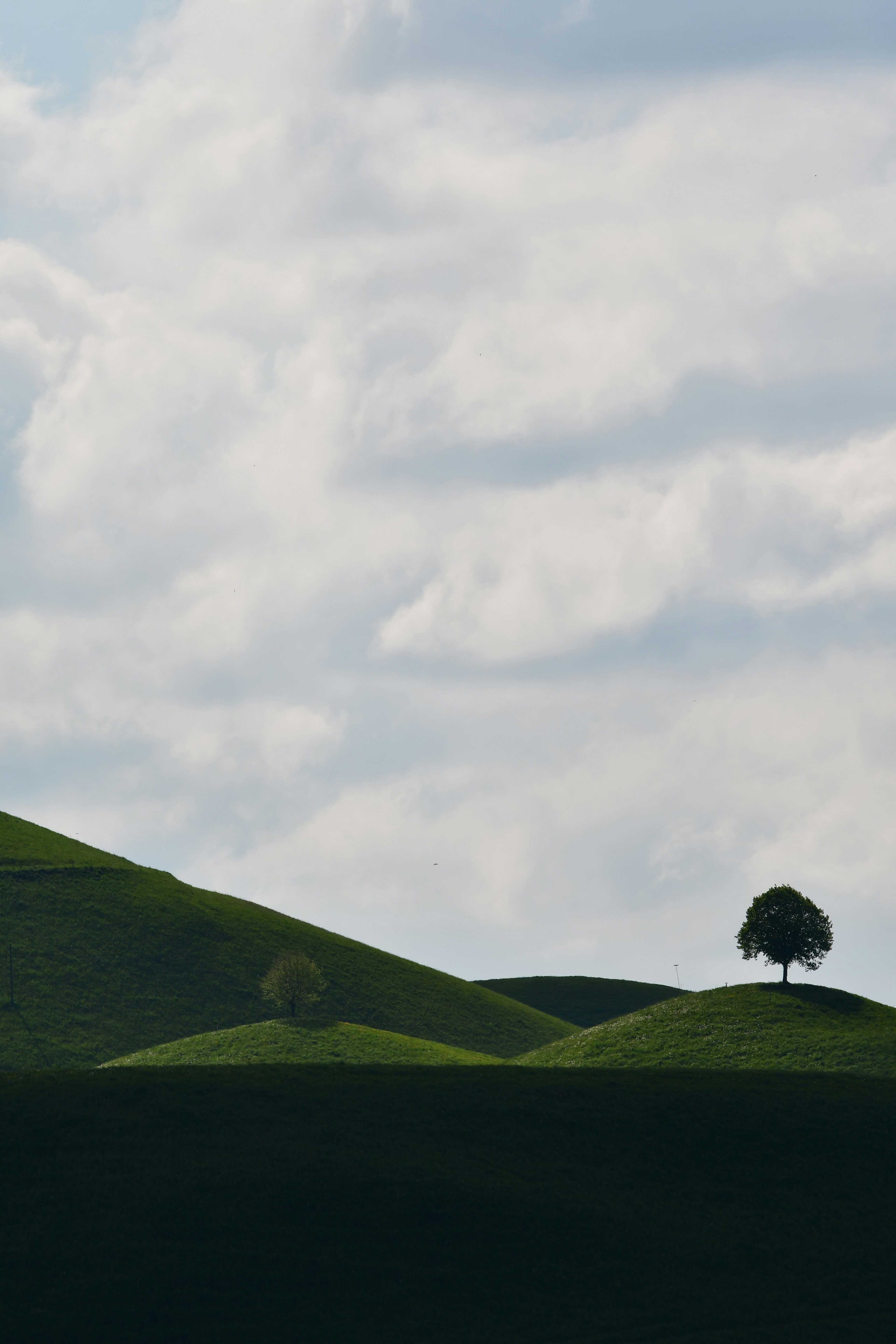 Photo by pedrino5_official