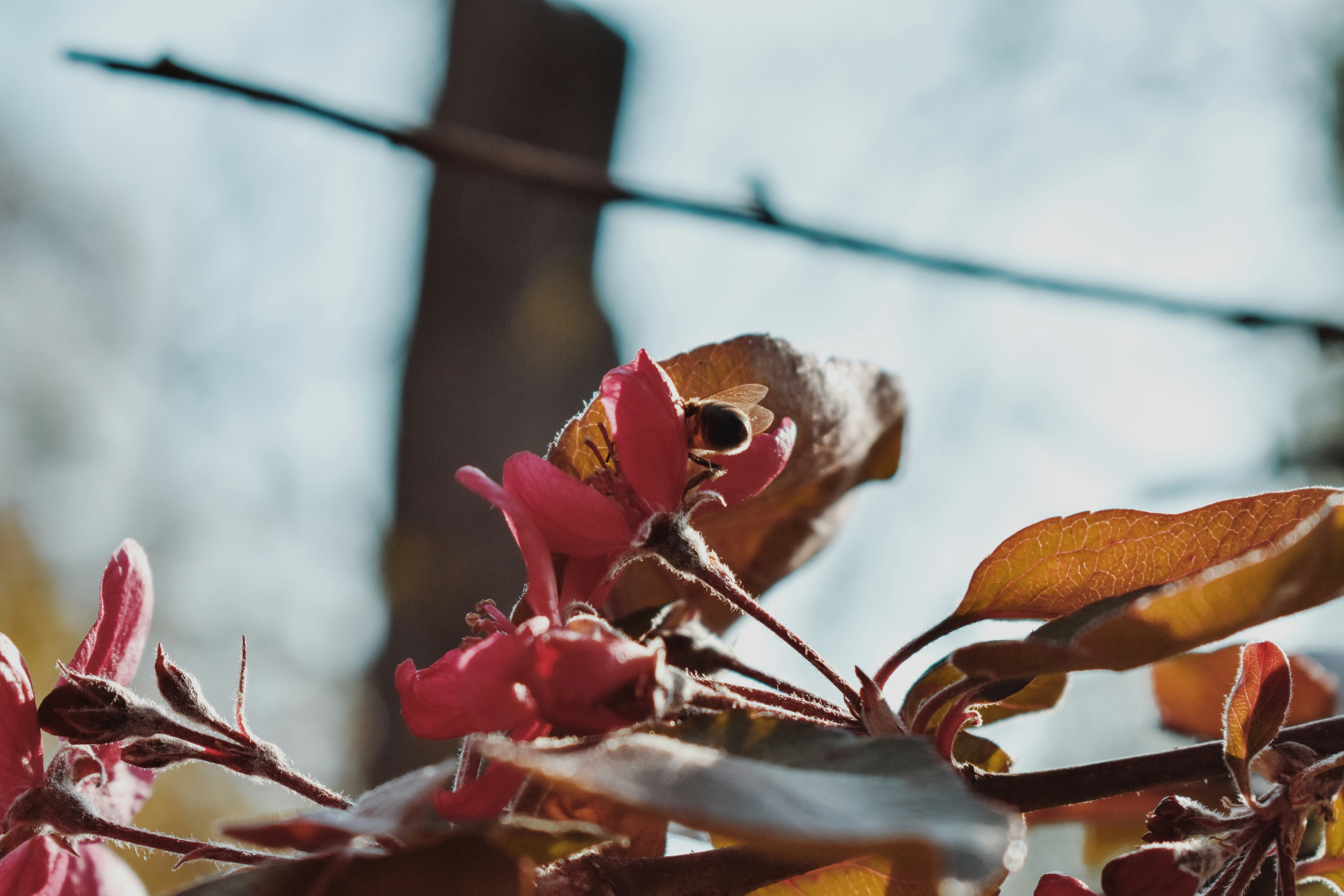 Photo by nisacokokumus