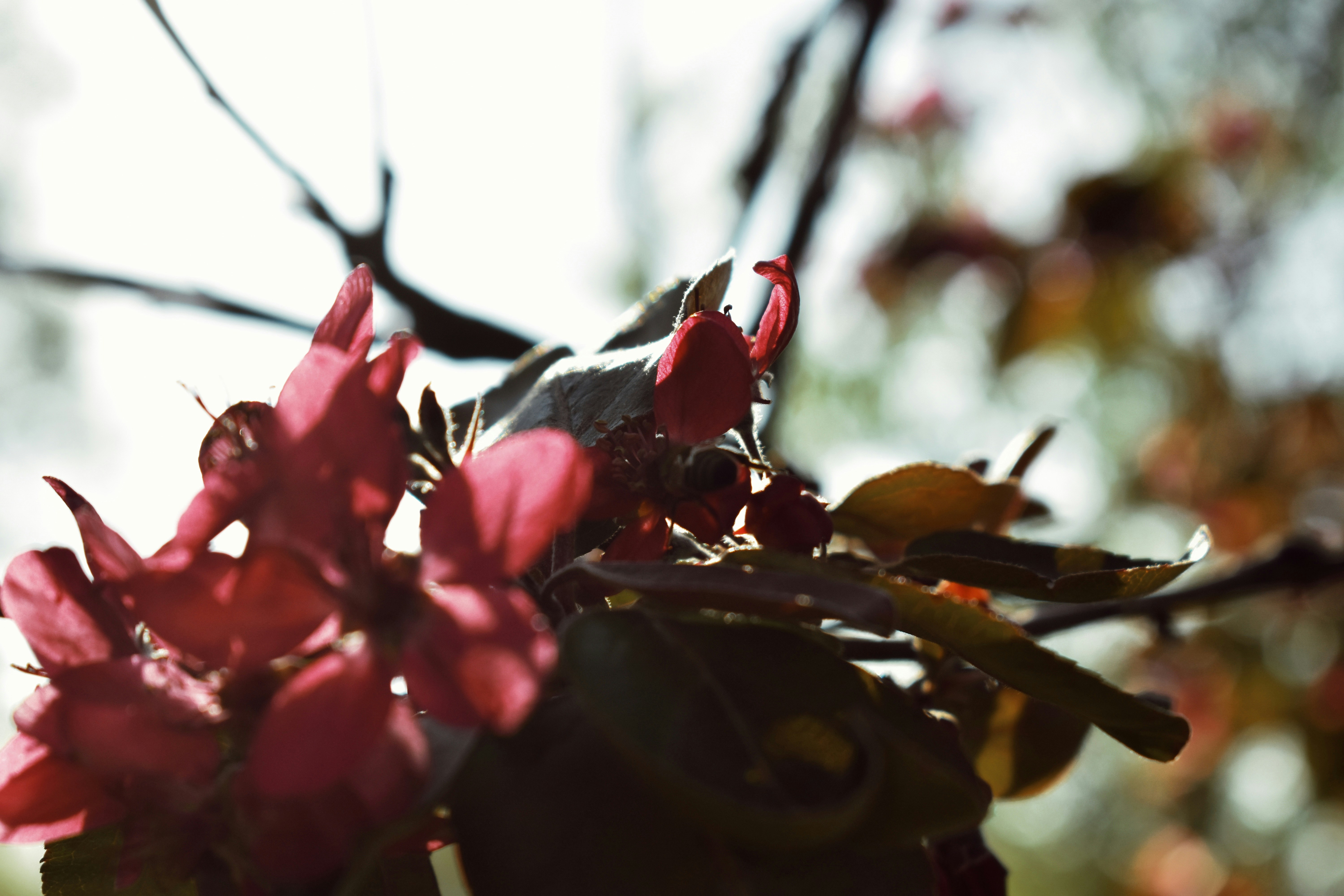 Photo by nisacokokumus