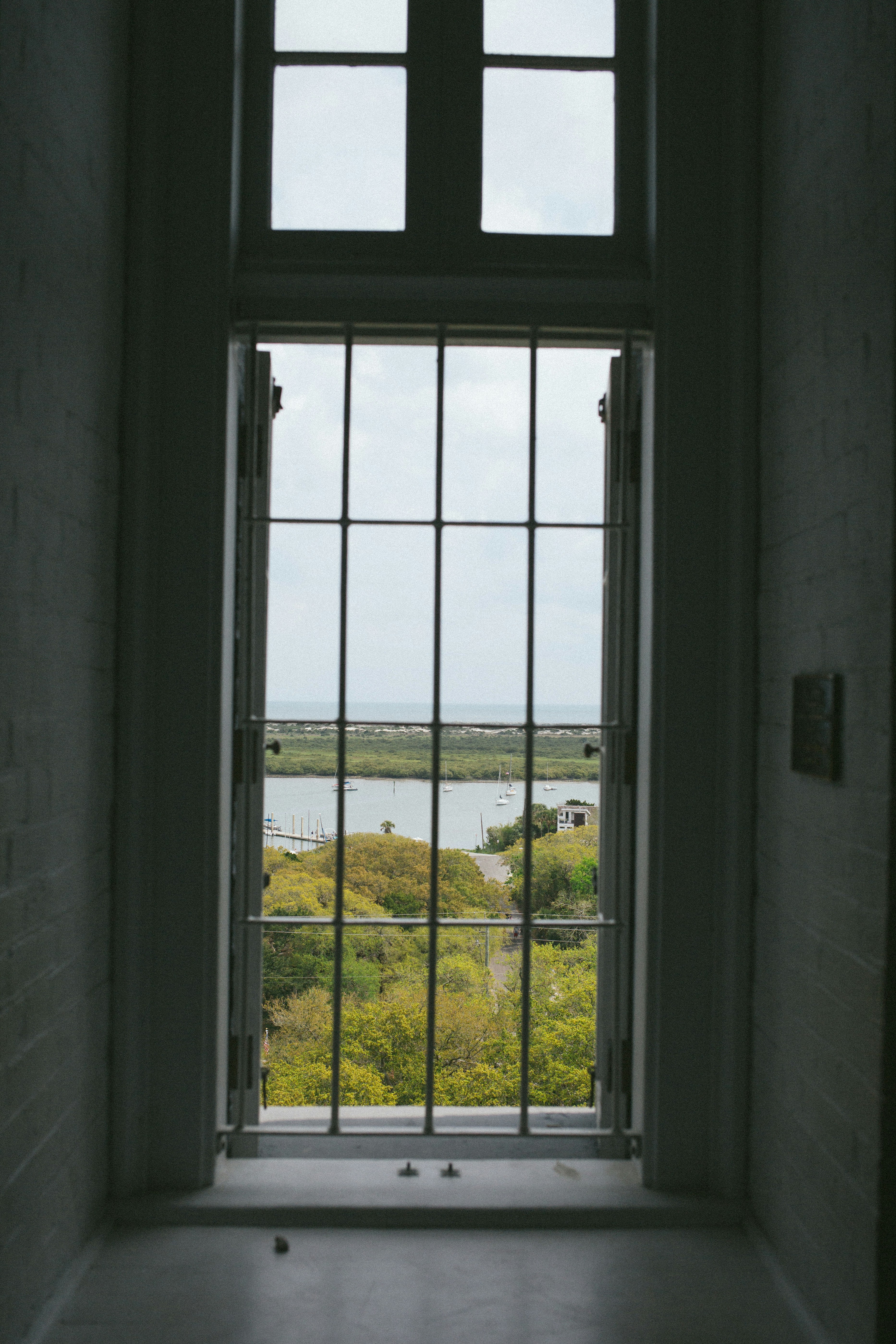 Una ventana da a un paisaje verde.