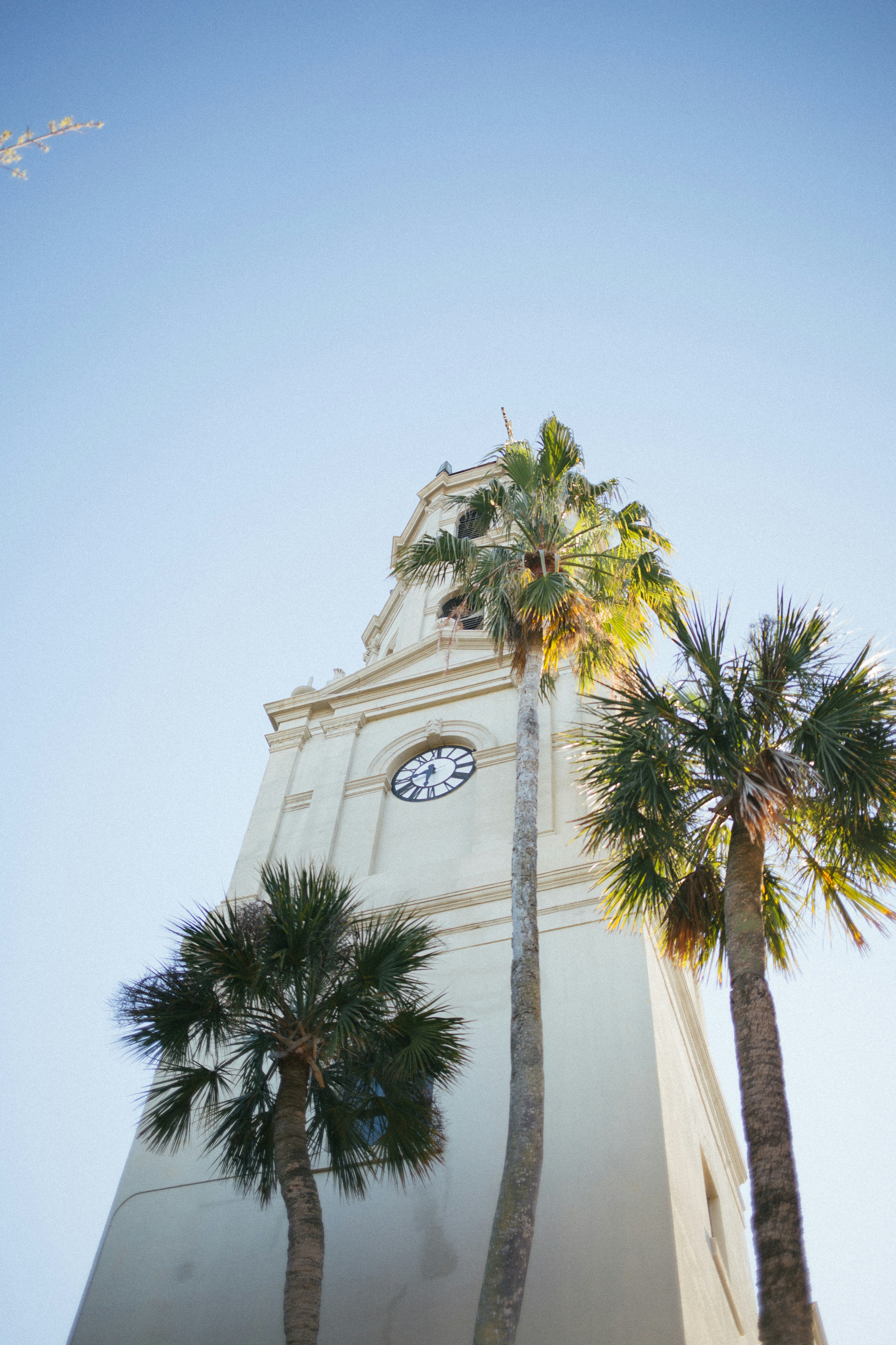 La torre del reloj se eleva sobre las palmeras bajo el cielo azul.