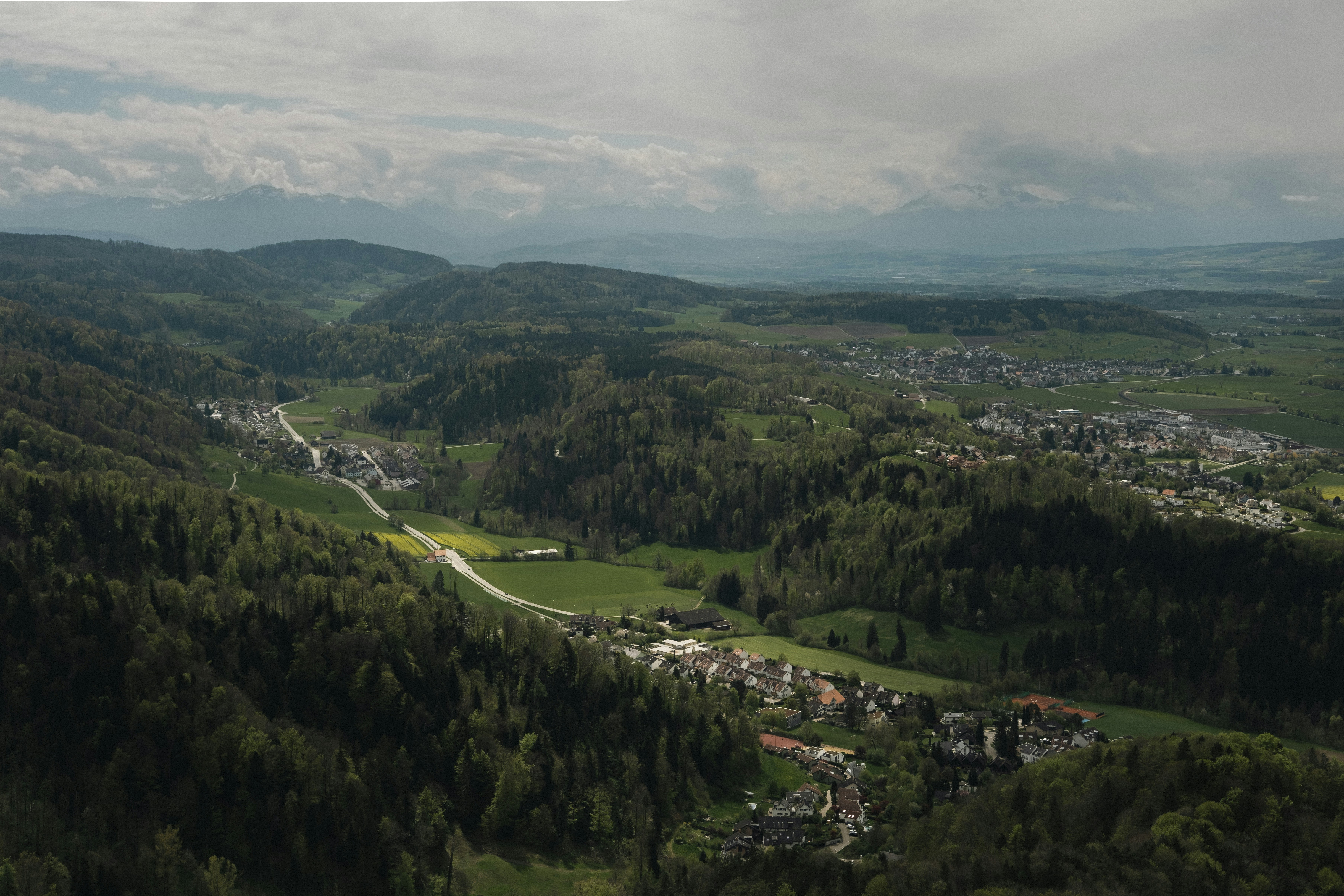 Photo by throughalekslens