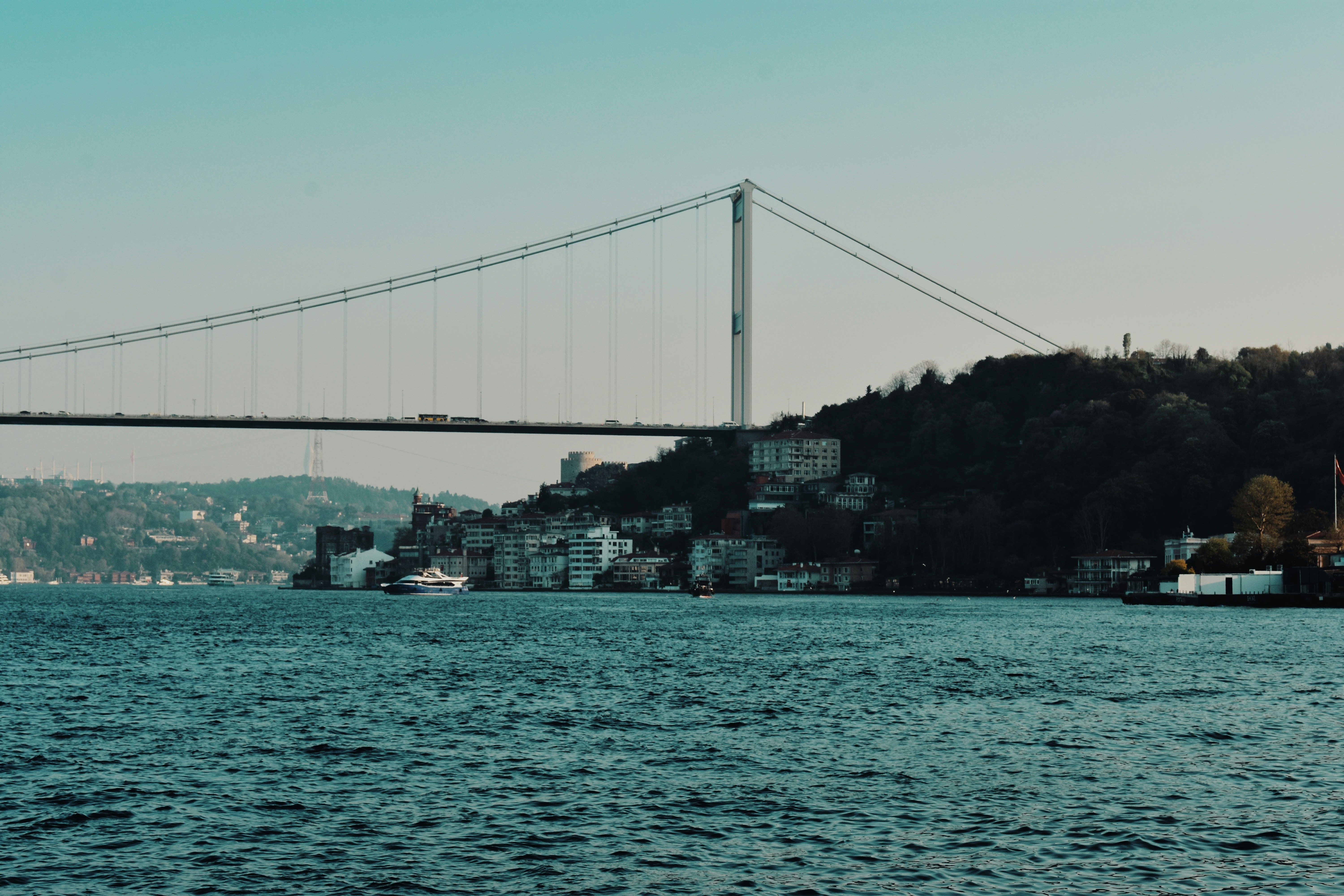 Photo by nisacokokumus