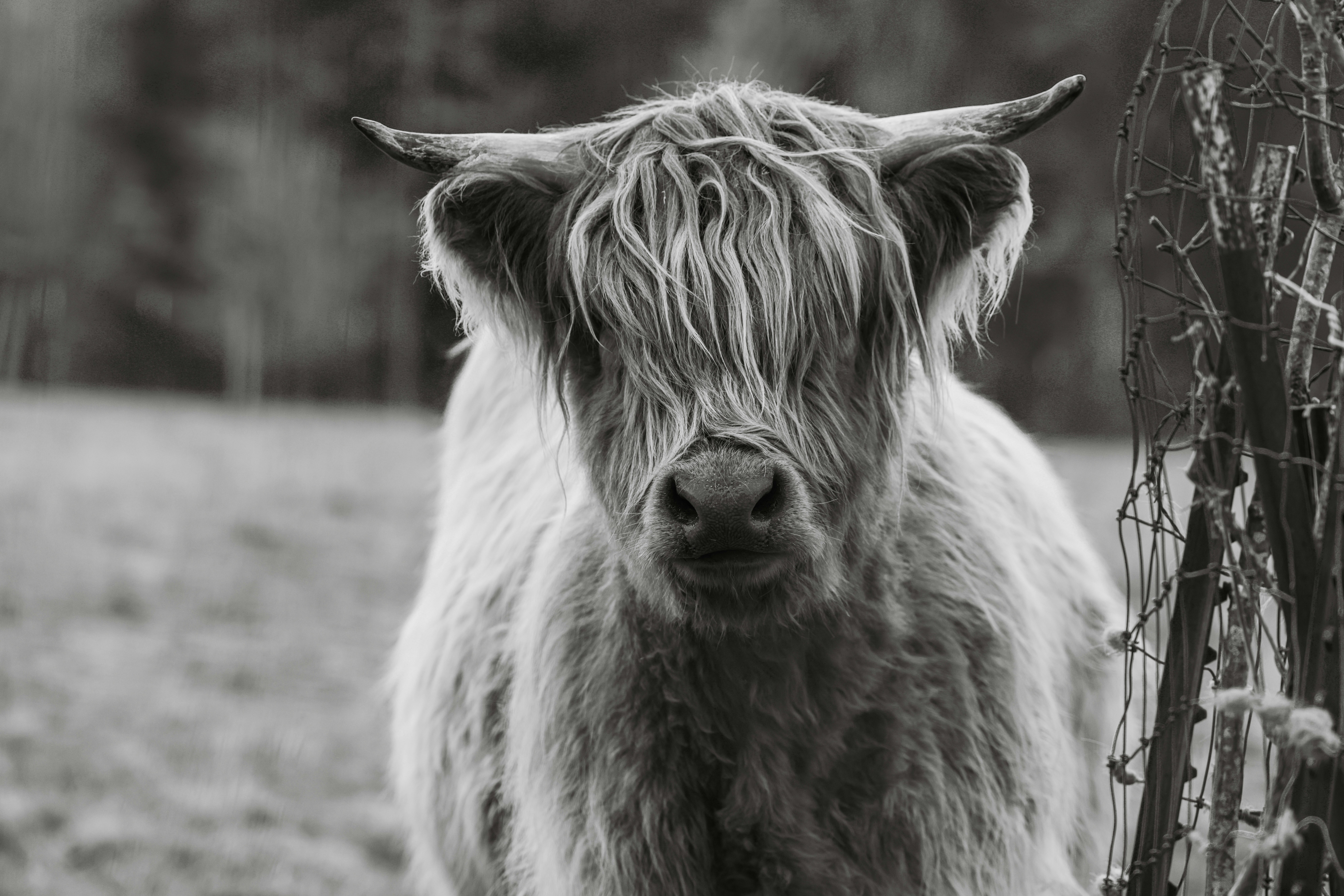 Photo by casunshine0508