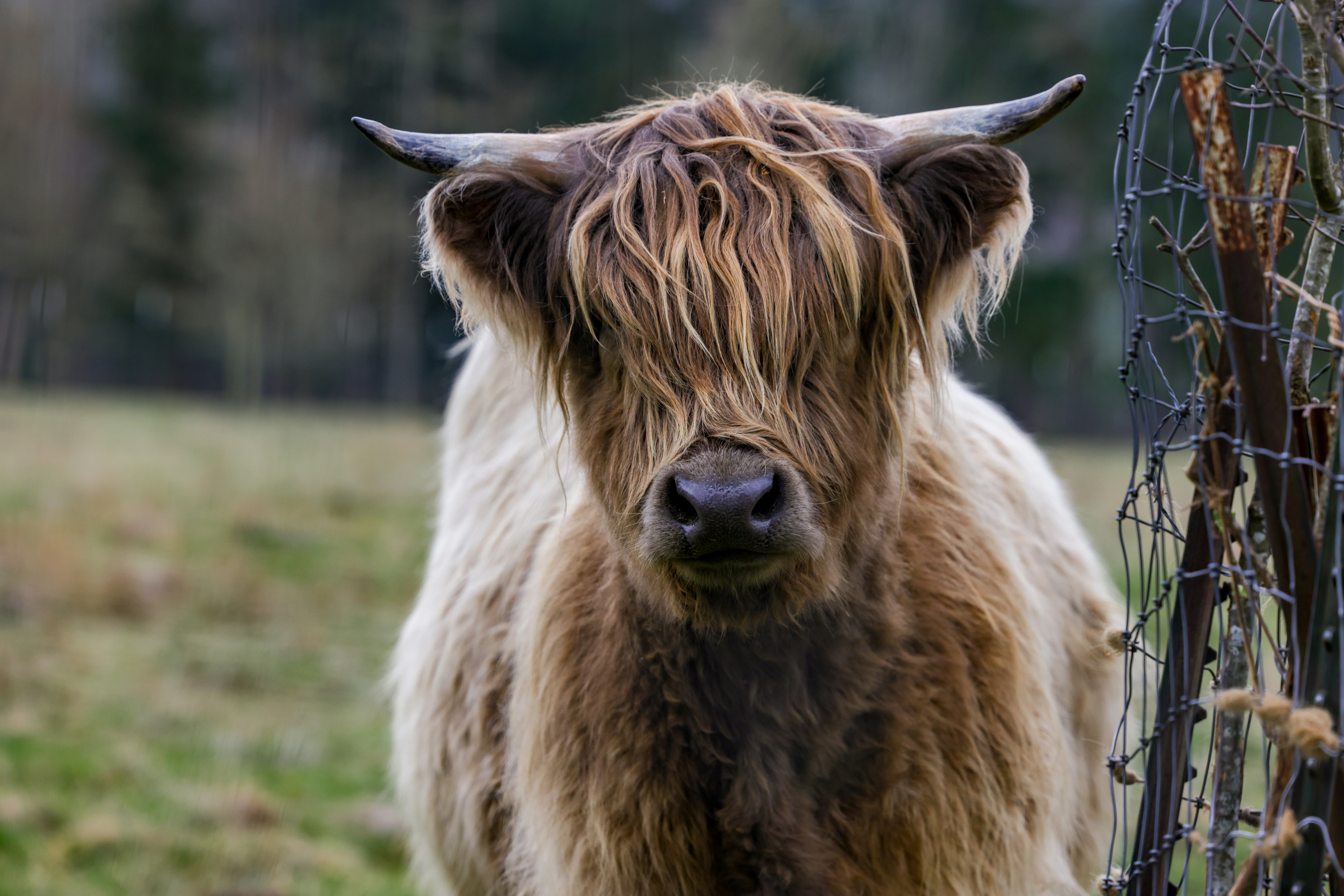 Photo by casunshine0508