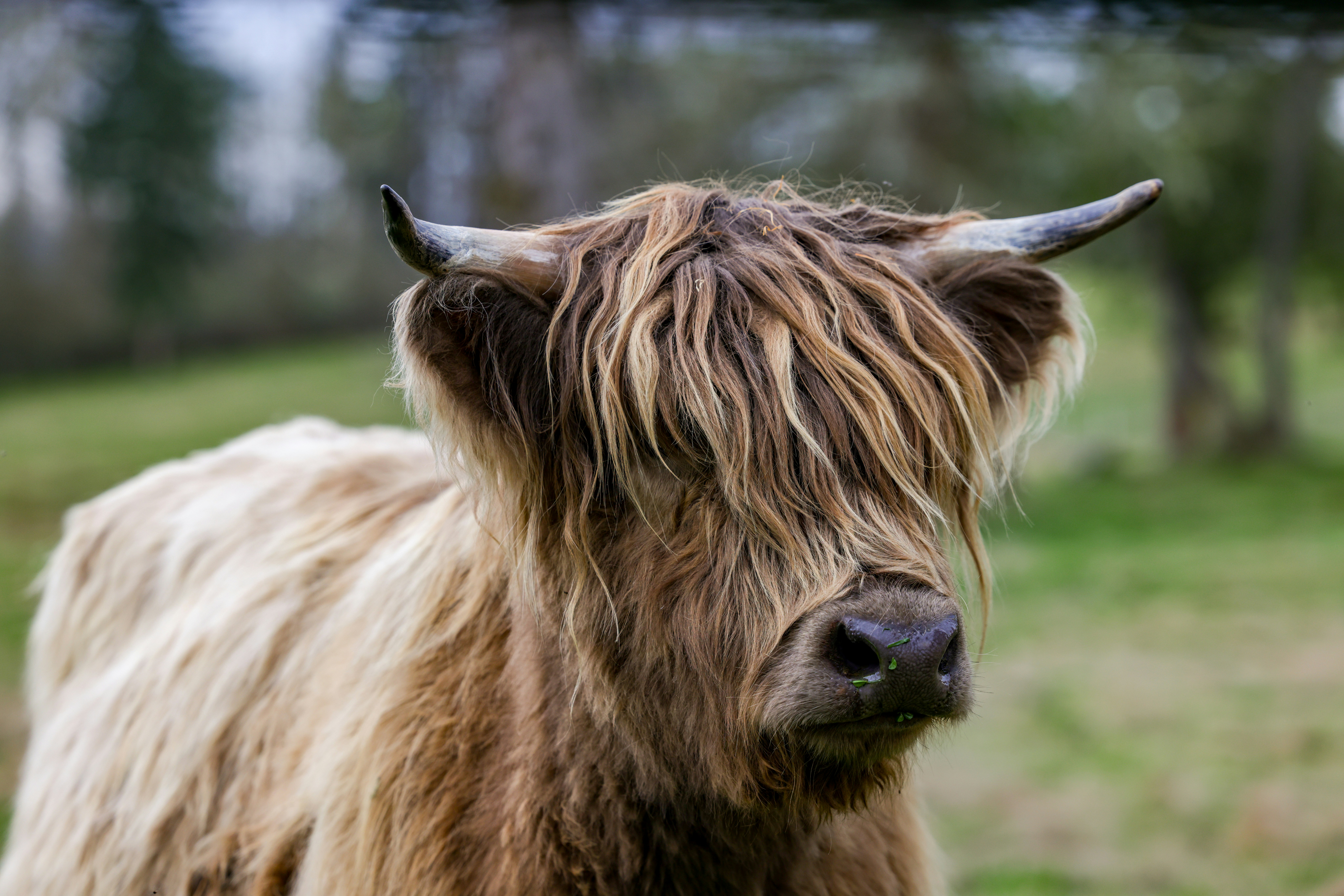 Photo by casunshine0508