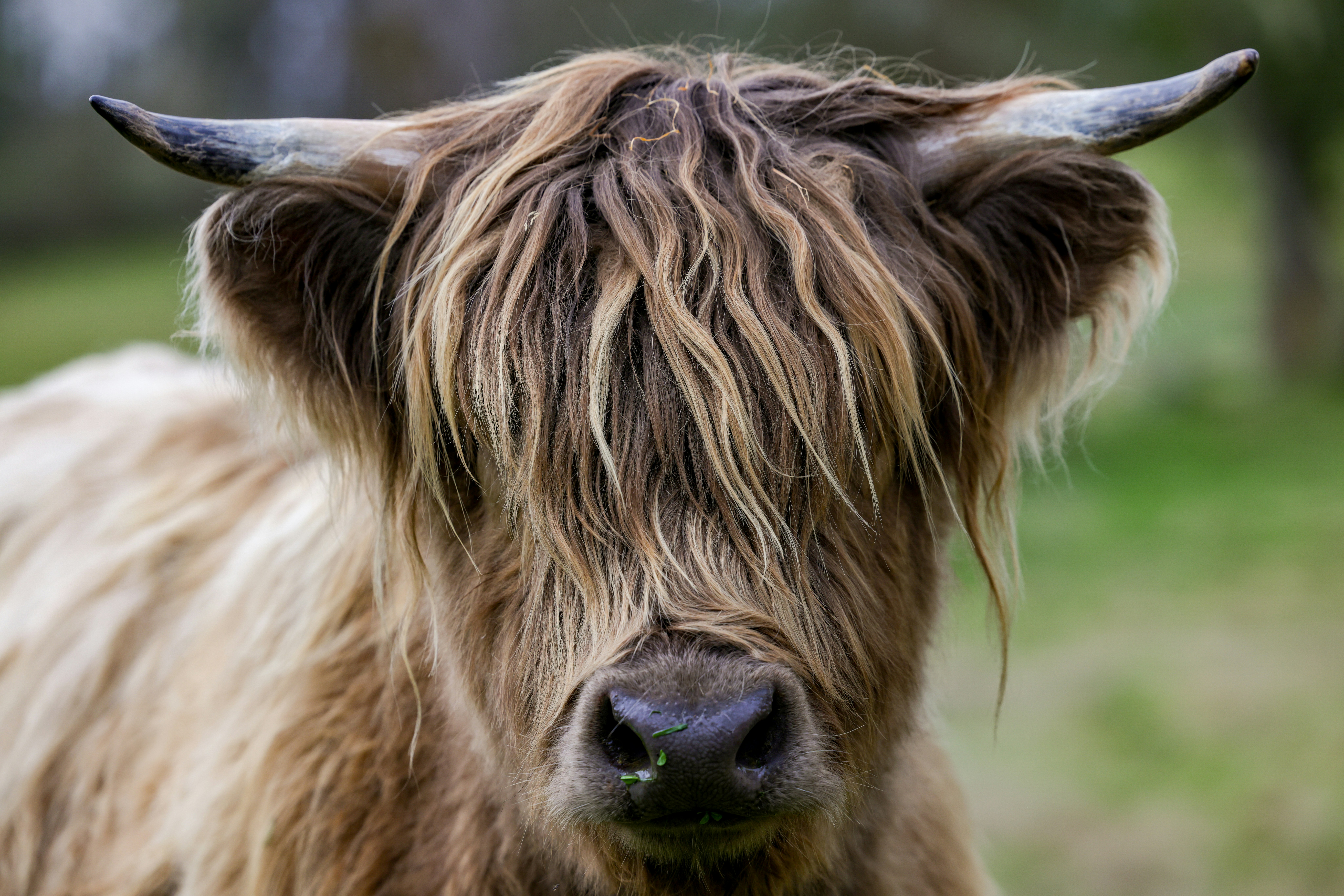 Photo by casunshine0508