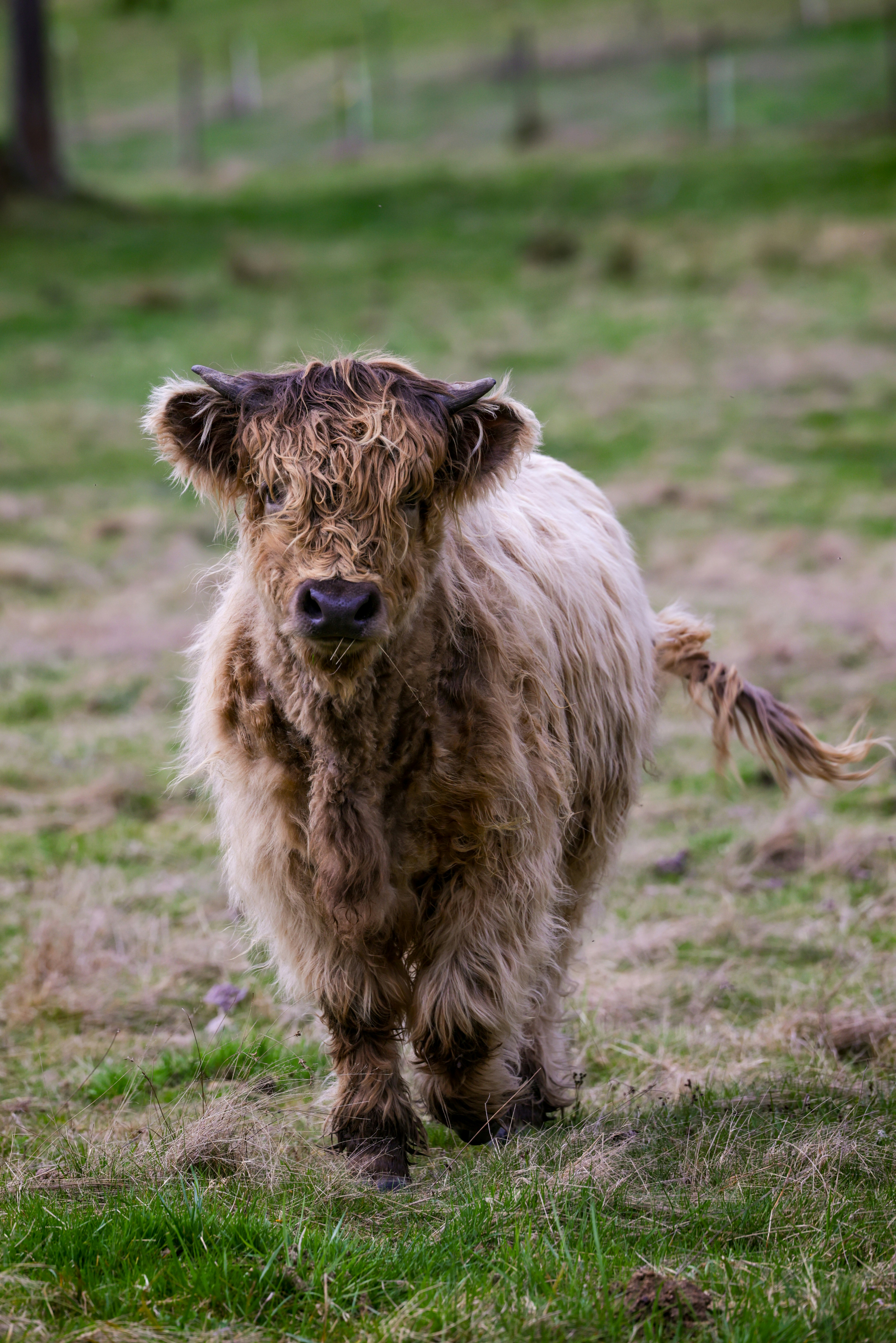 Photo by casunshine0508