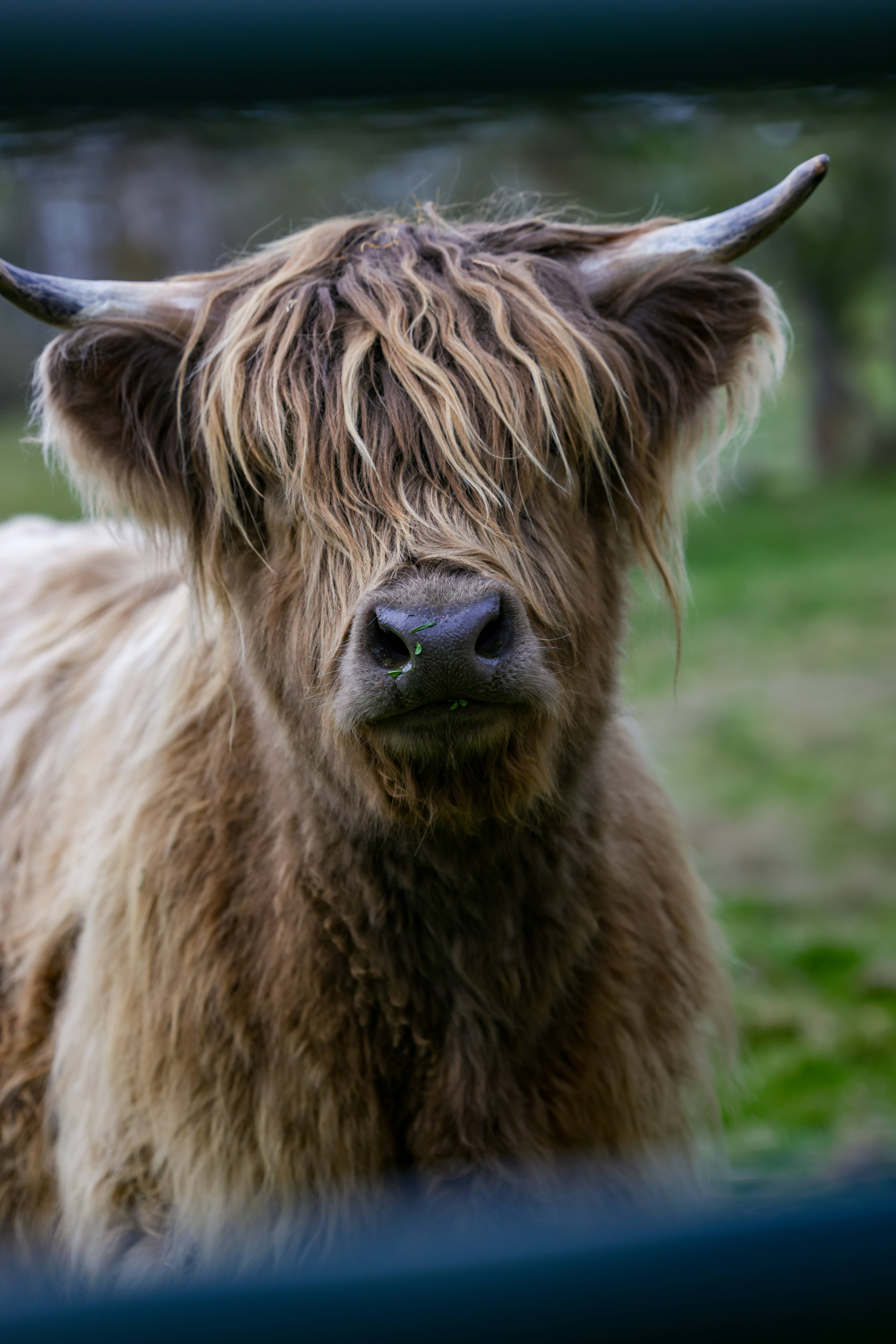 Photo by casunshine0508