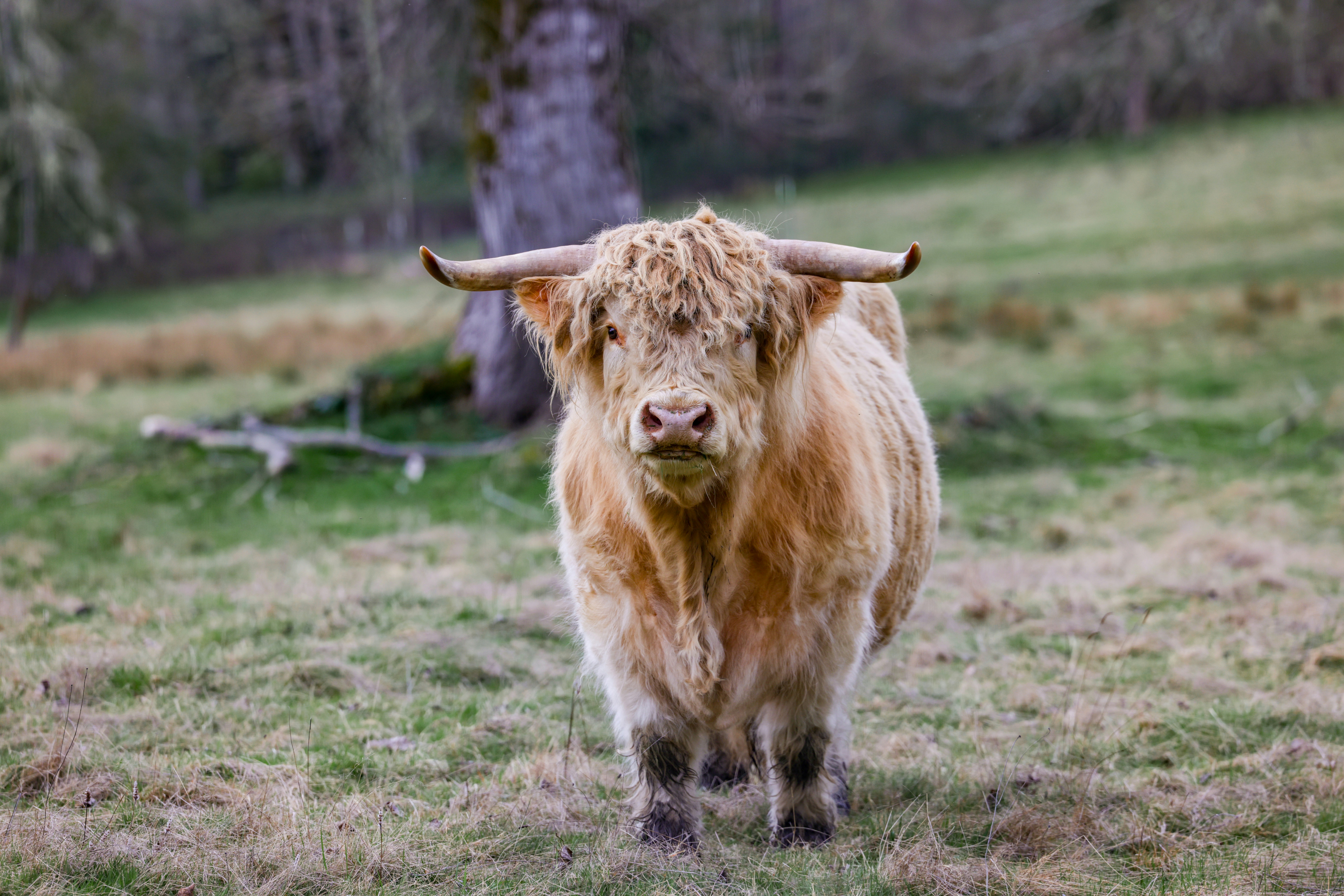 Photo by casunshine0508