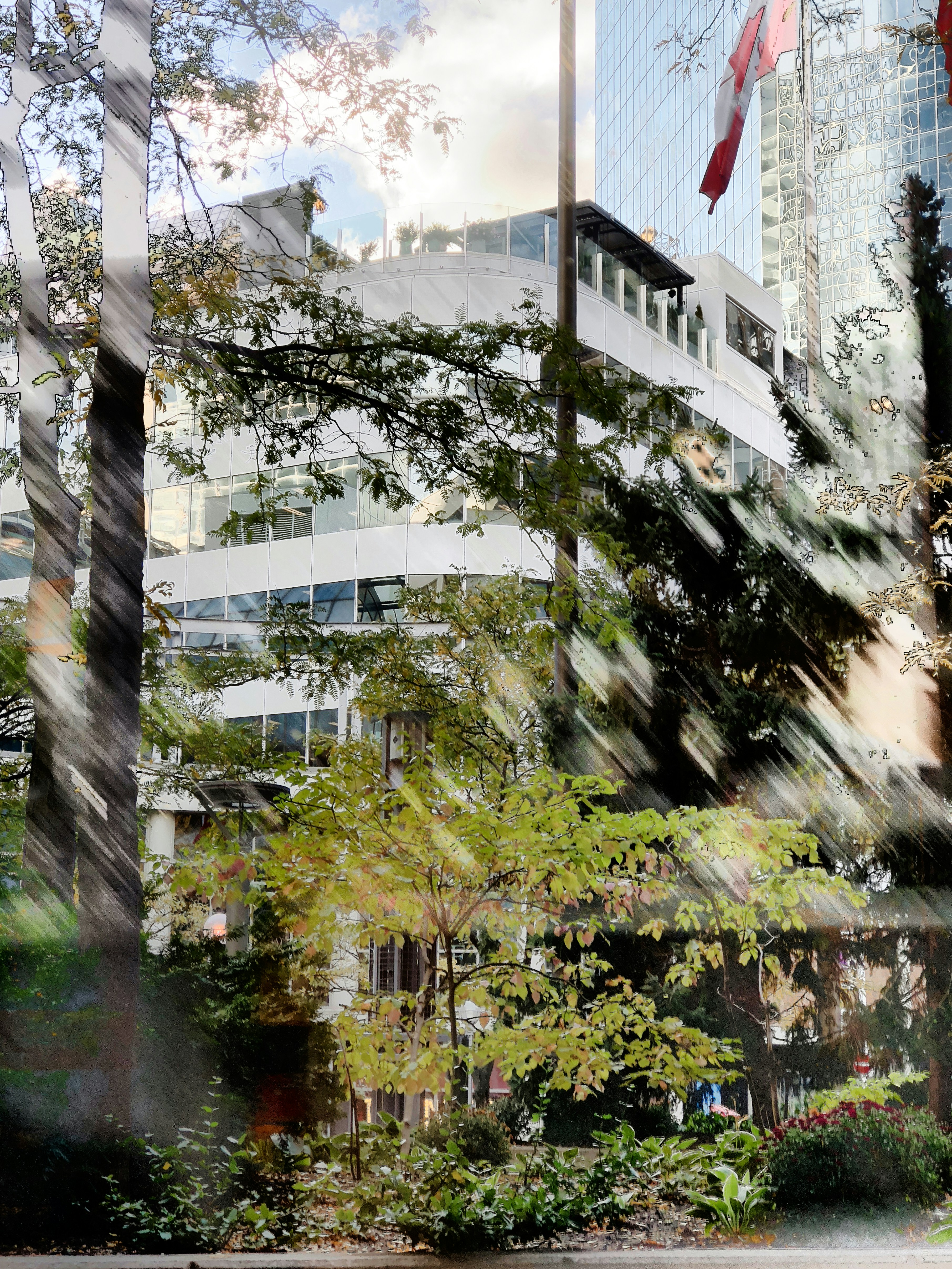 Trees and buildings are reflected in a window.