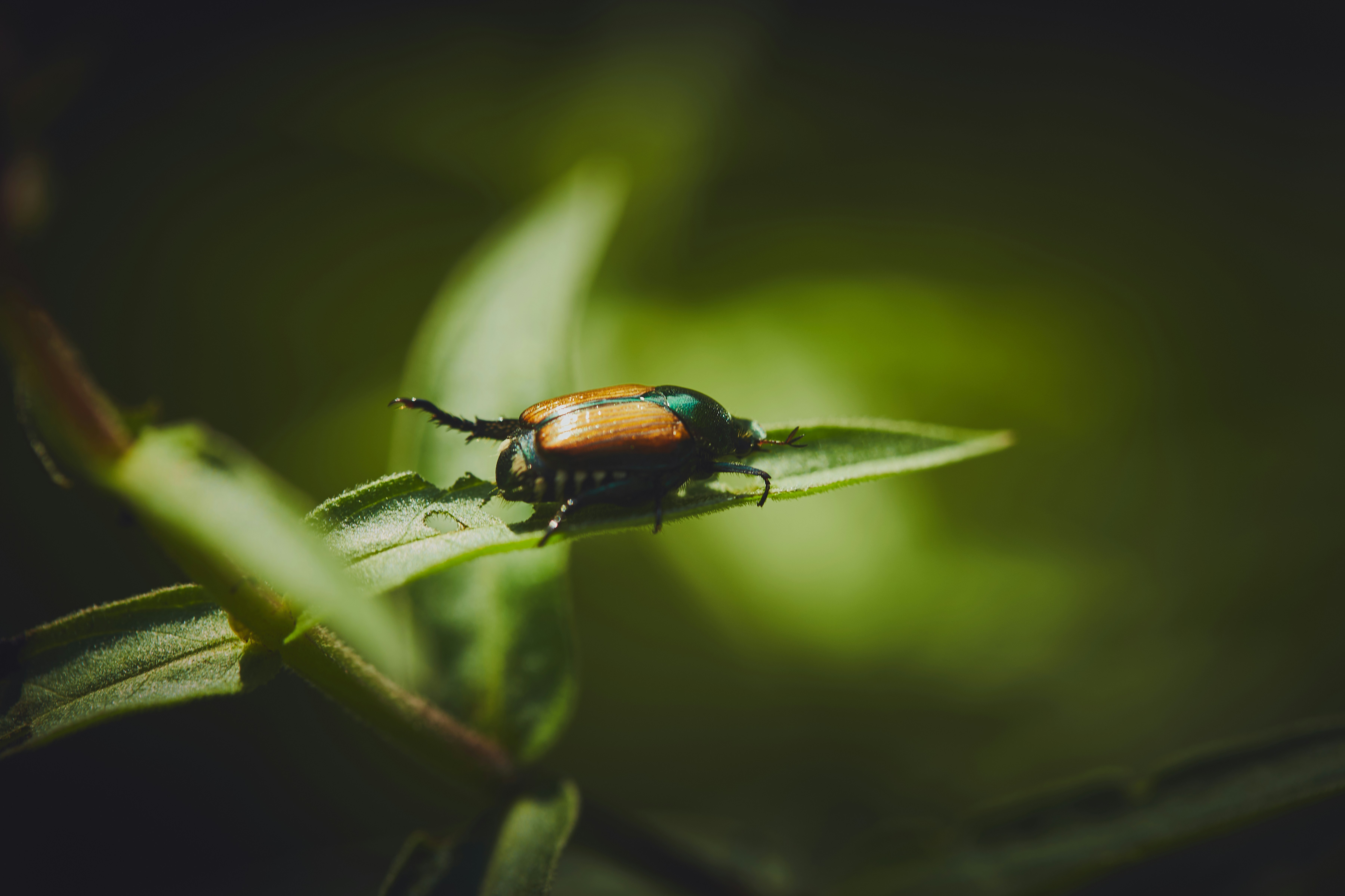 The Uninvited Guest That Never Left (image credits: unsplash)