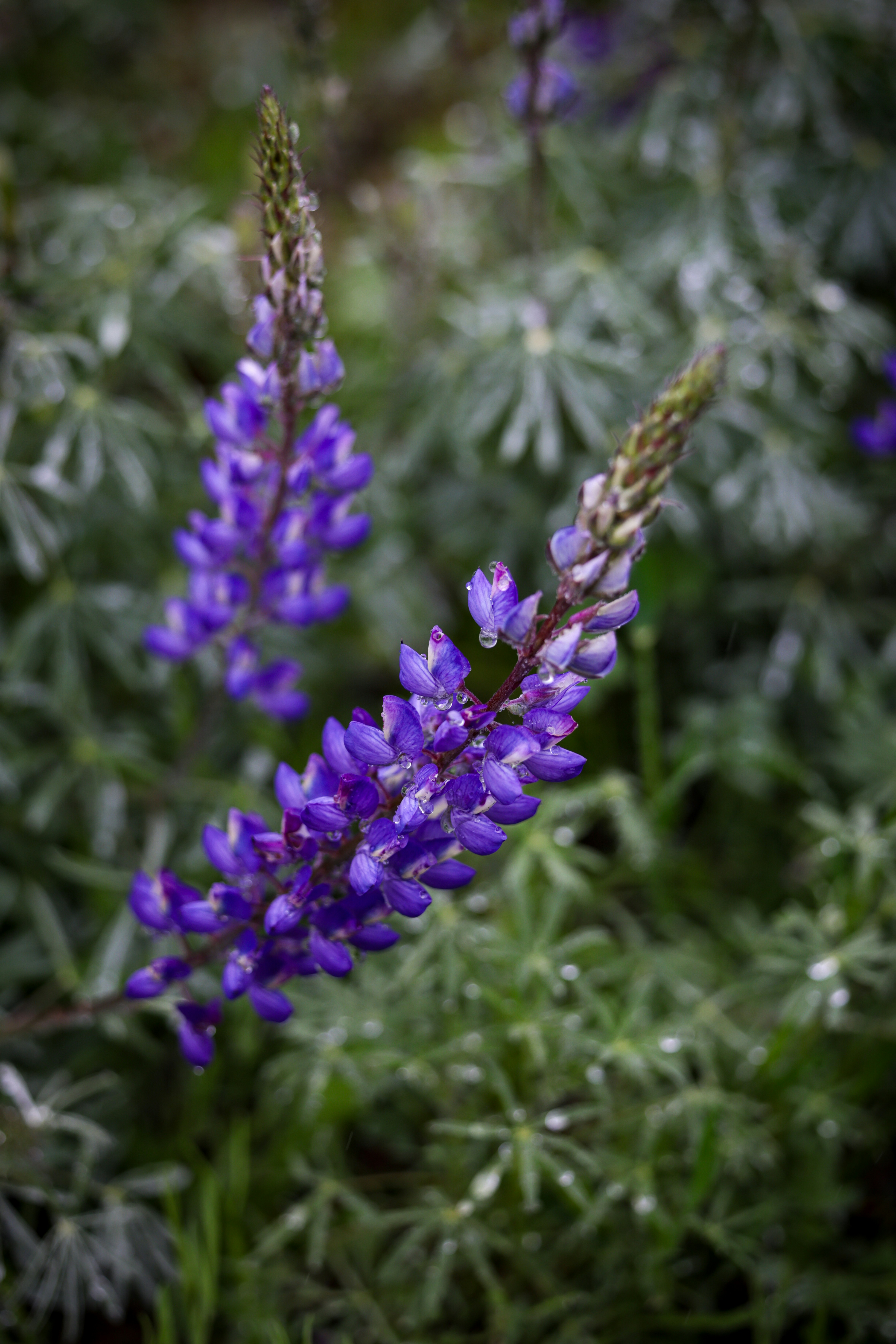 Photo by casunshine0508