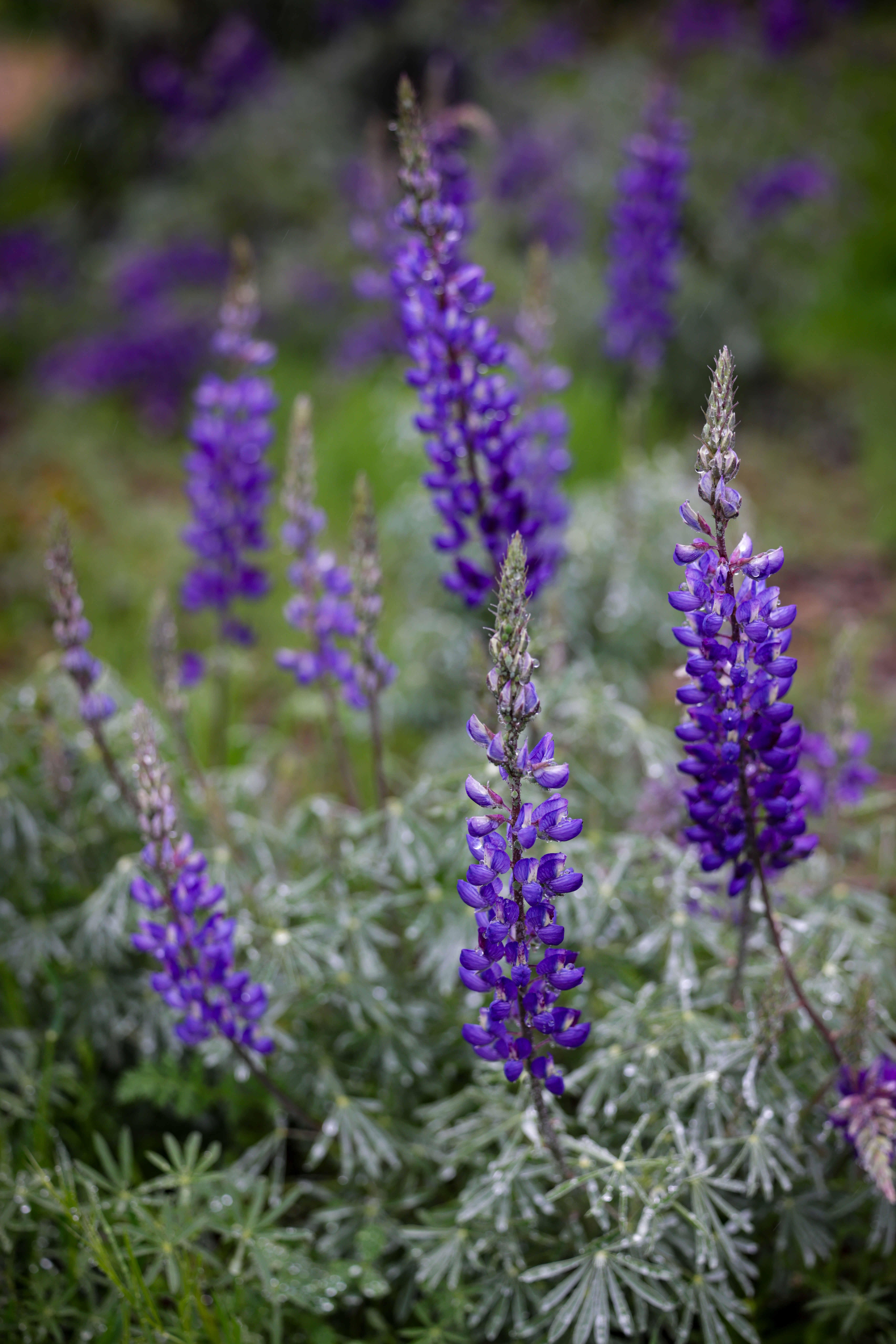 Photo by casunshine0508