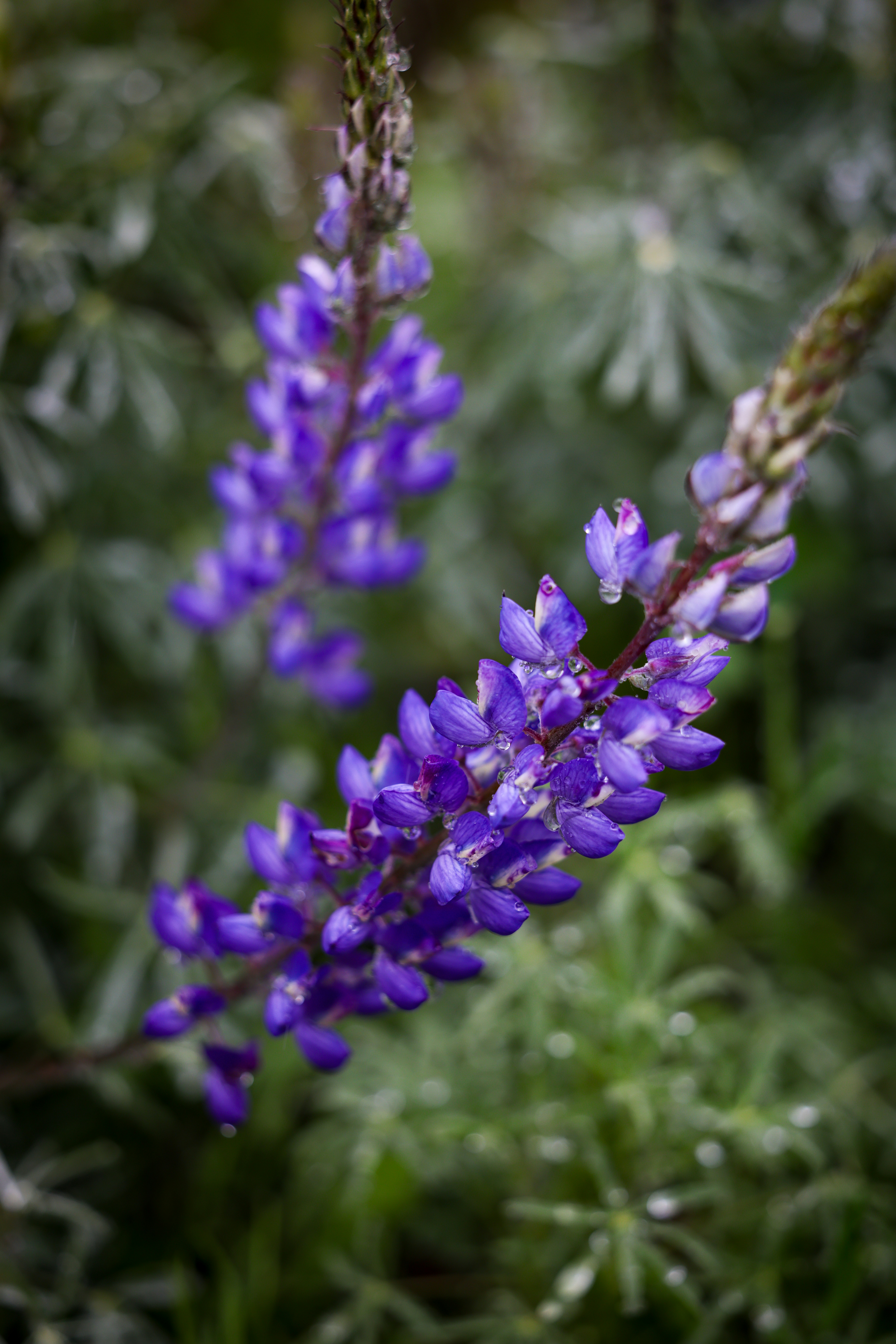 Photo by casunshine0508