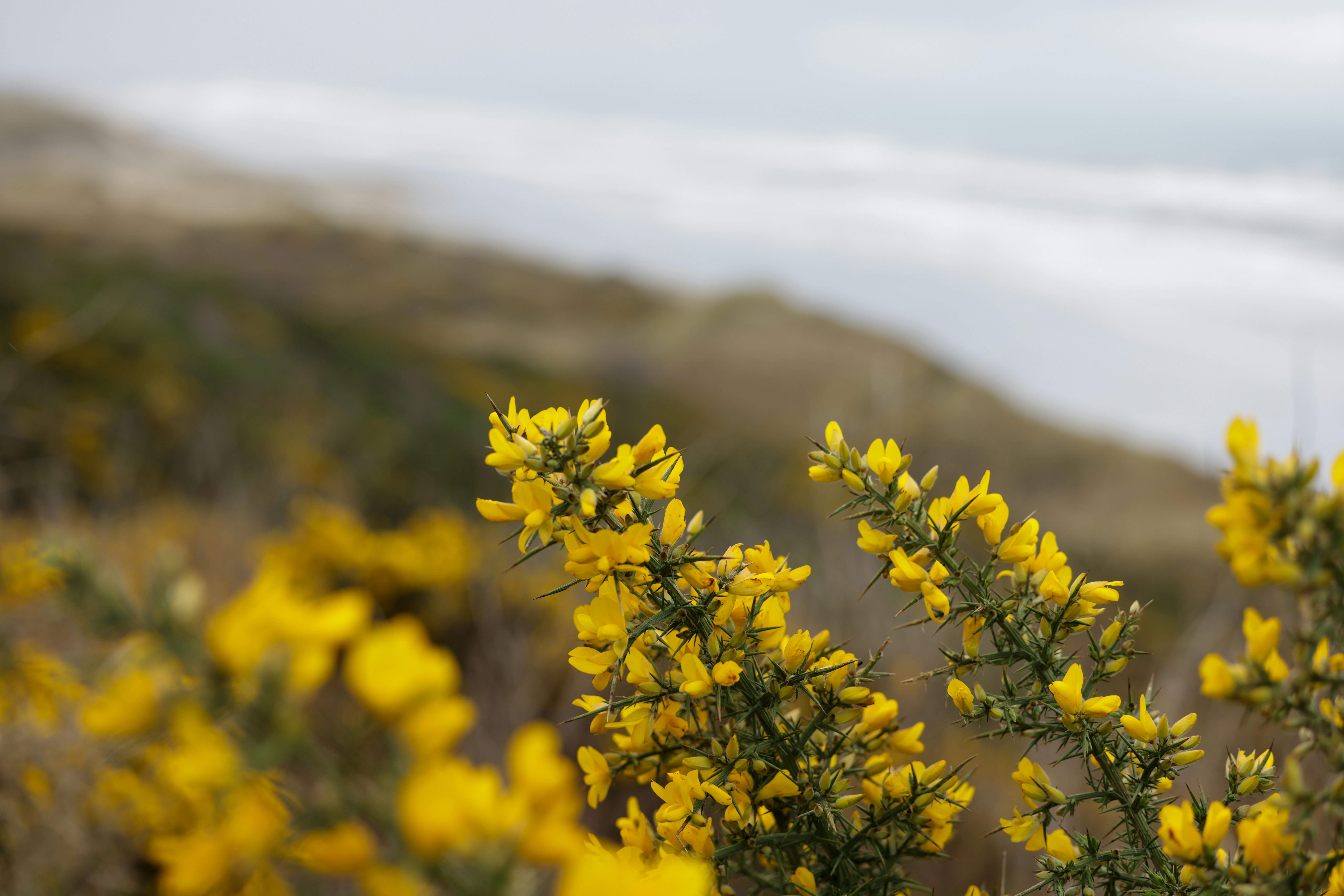 Photo by casunshine0508