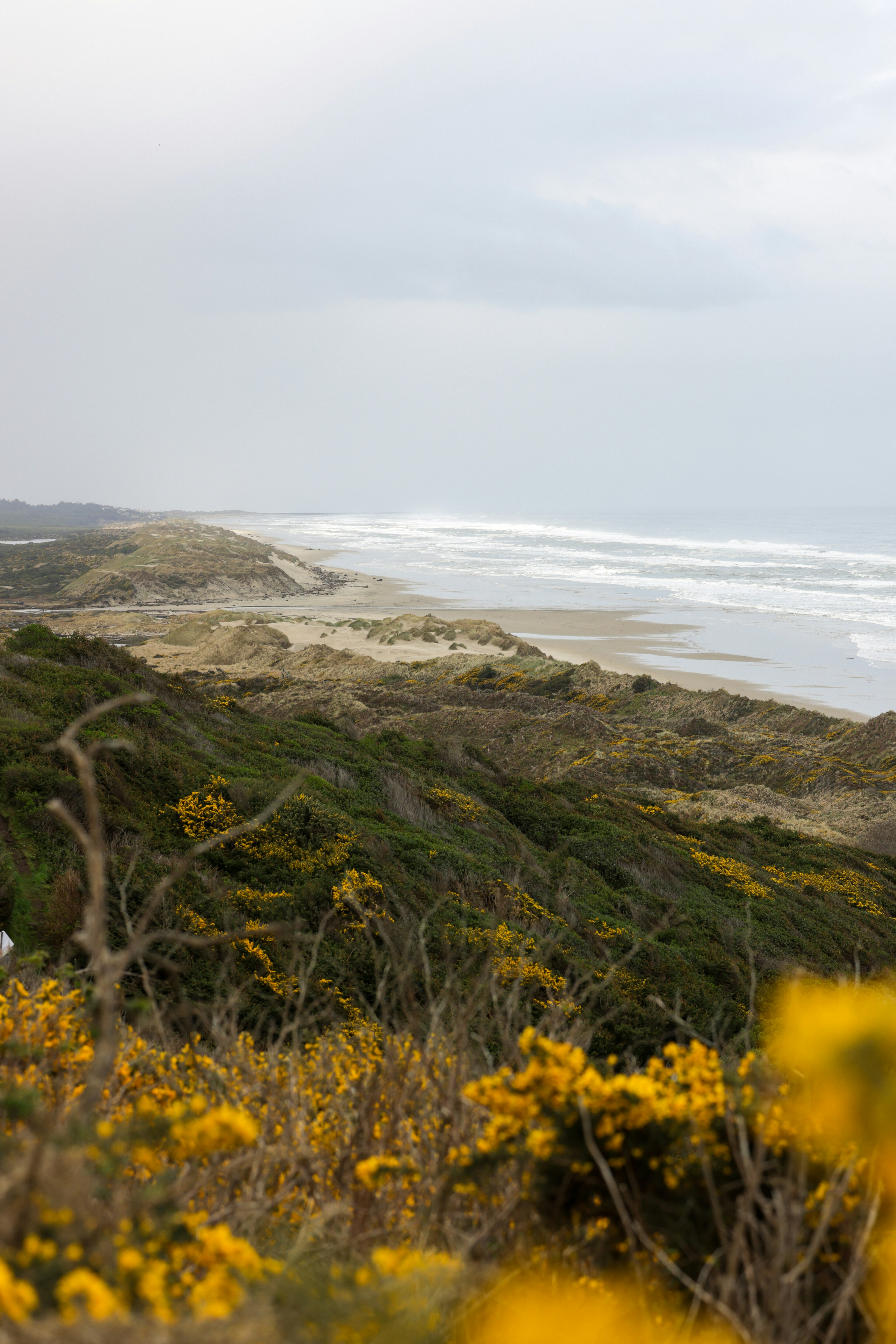 Photo by casunshine0508