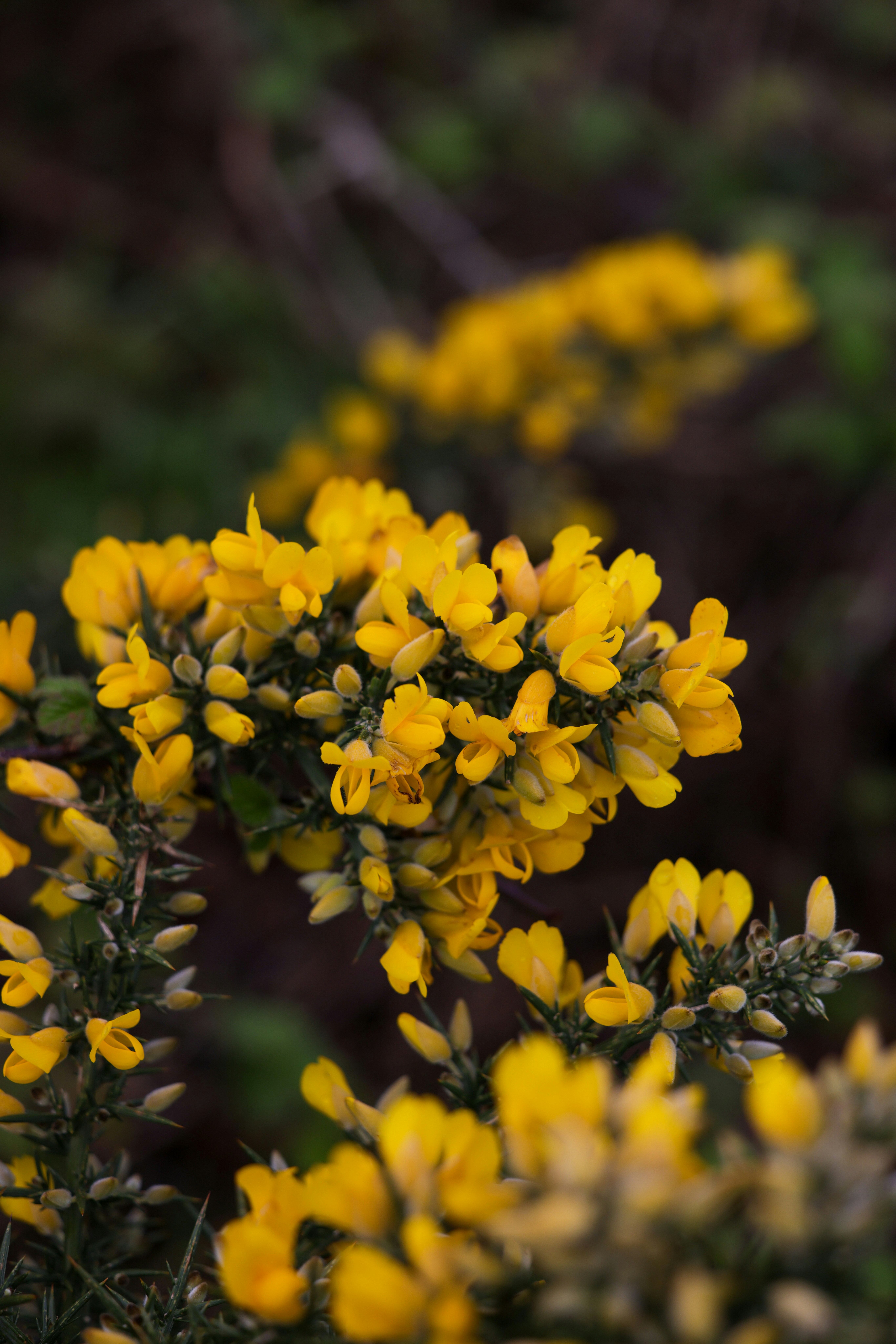 Photo by casunshine0508