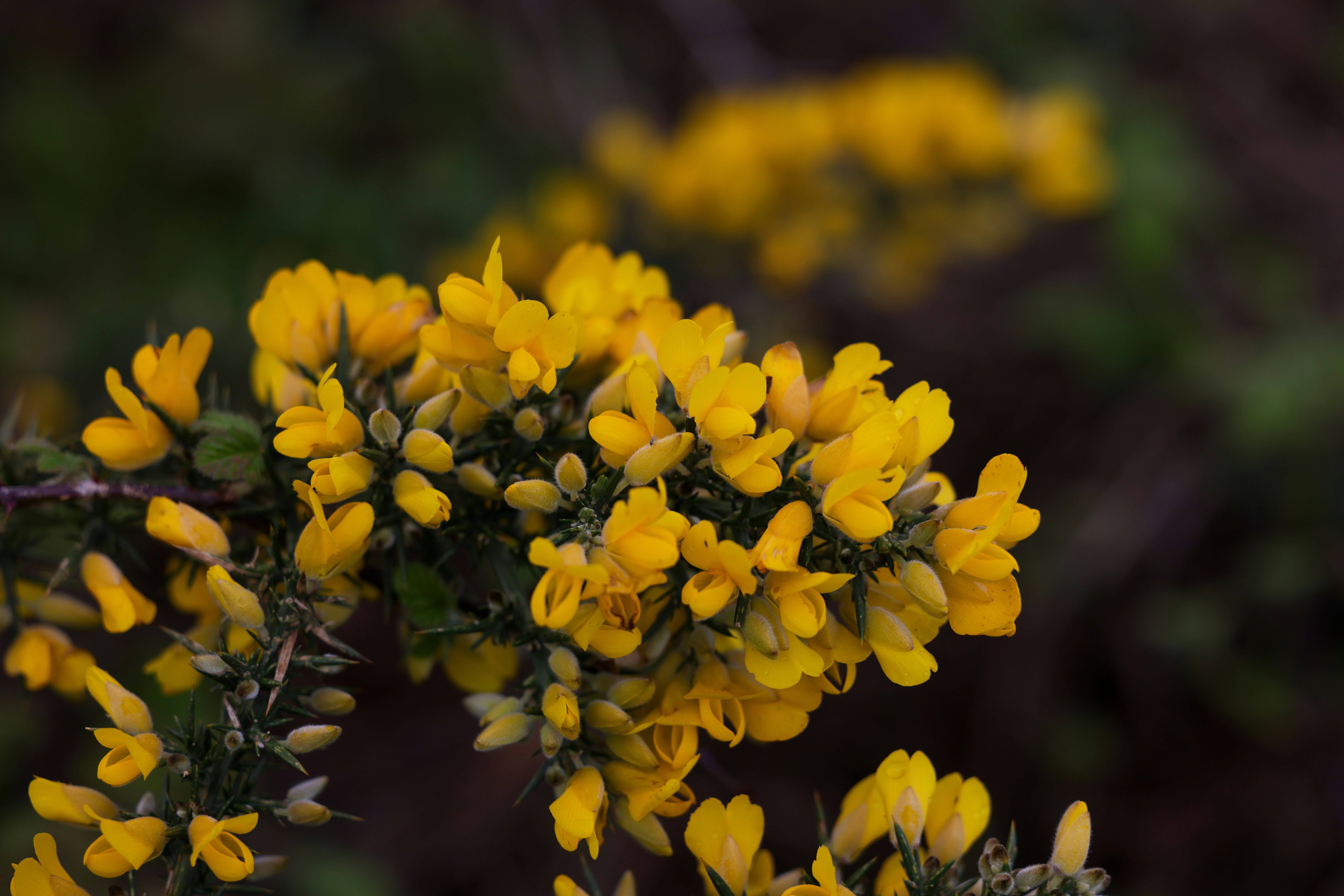 Photo by casunshine0508