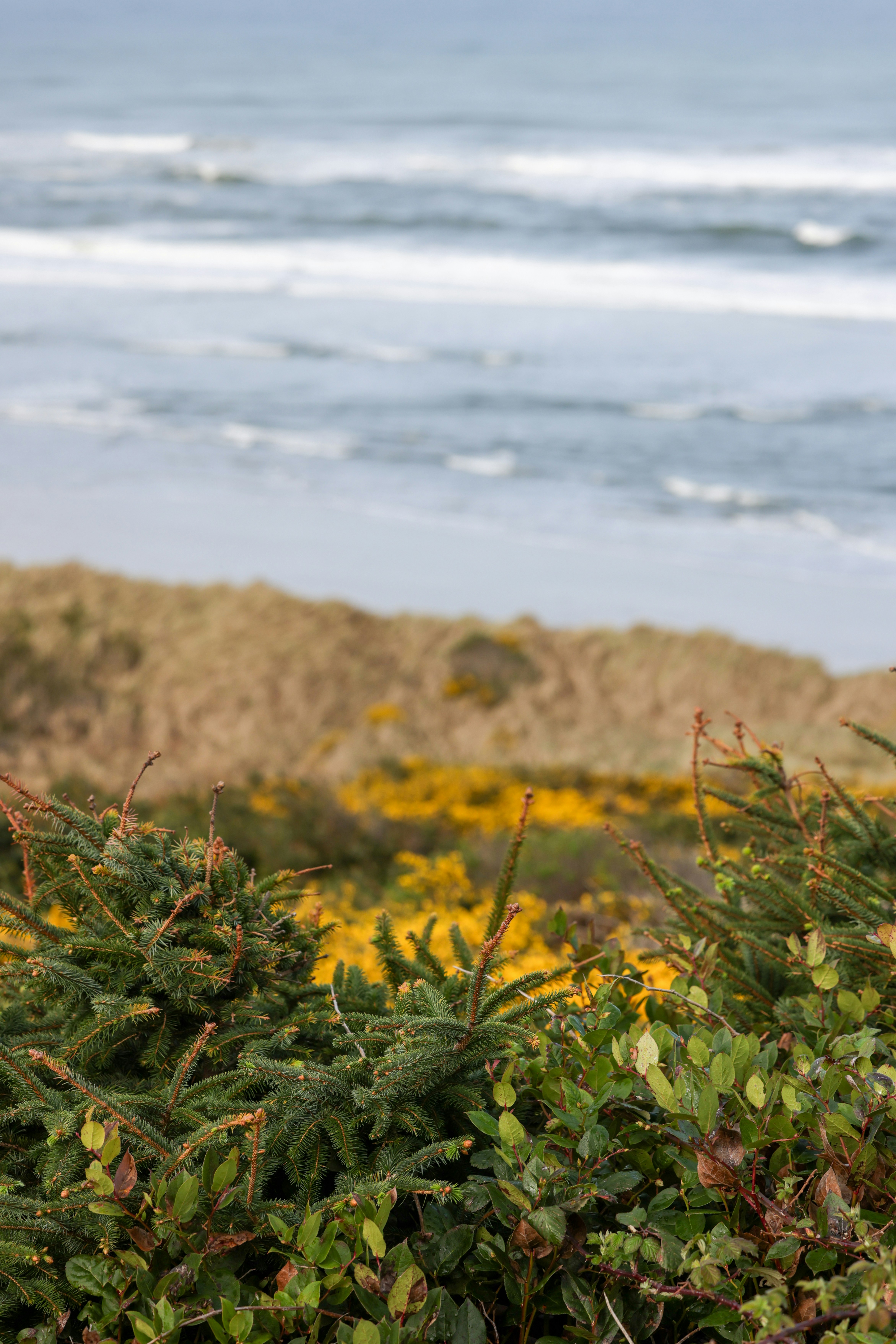 Photo by casunshine0508