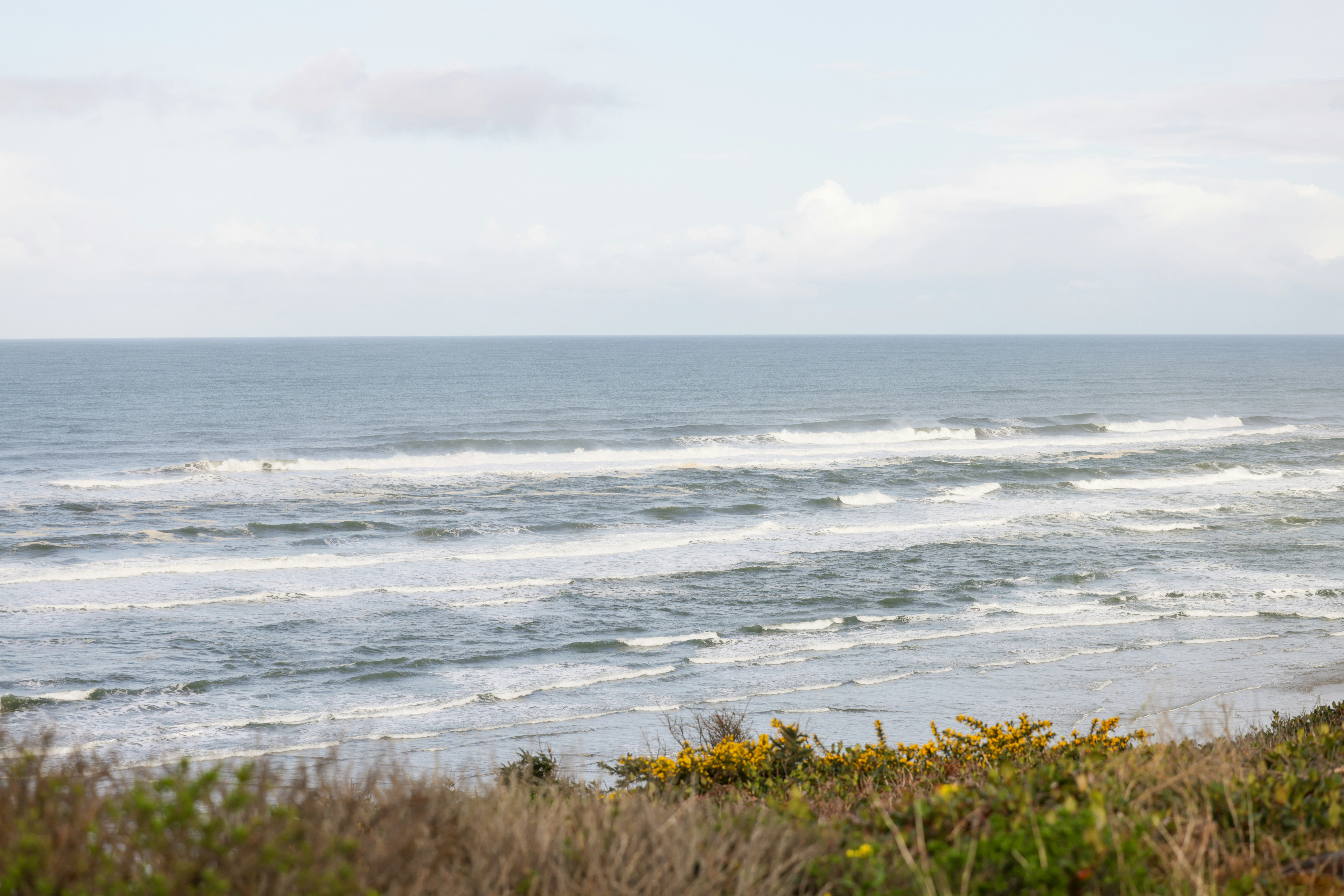 Photo by casunshine0508