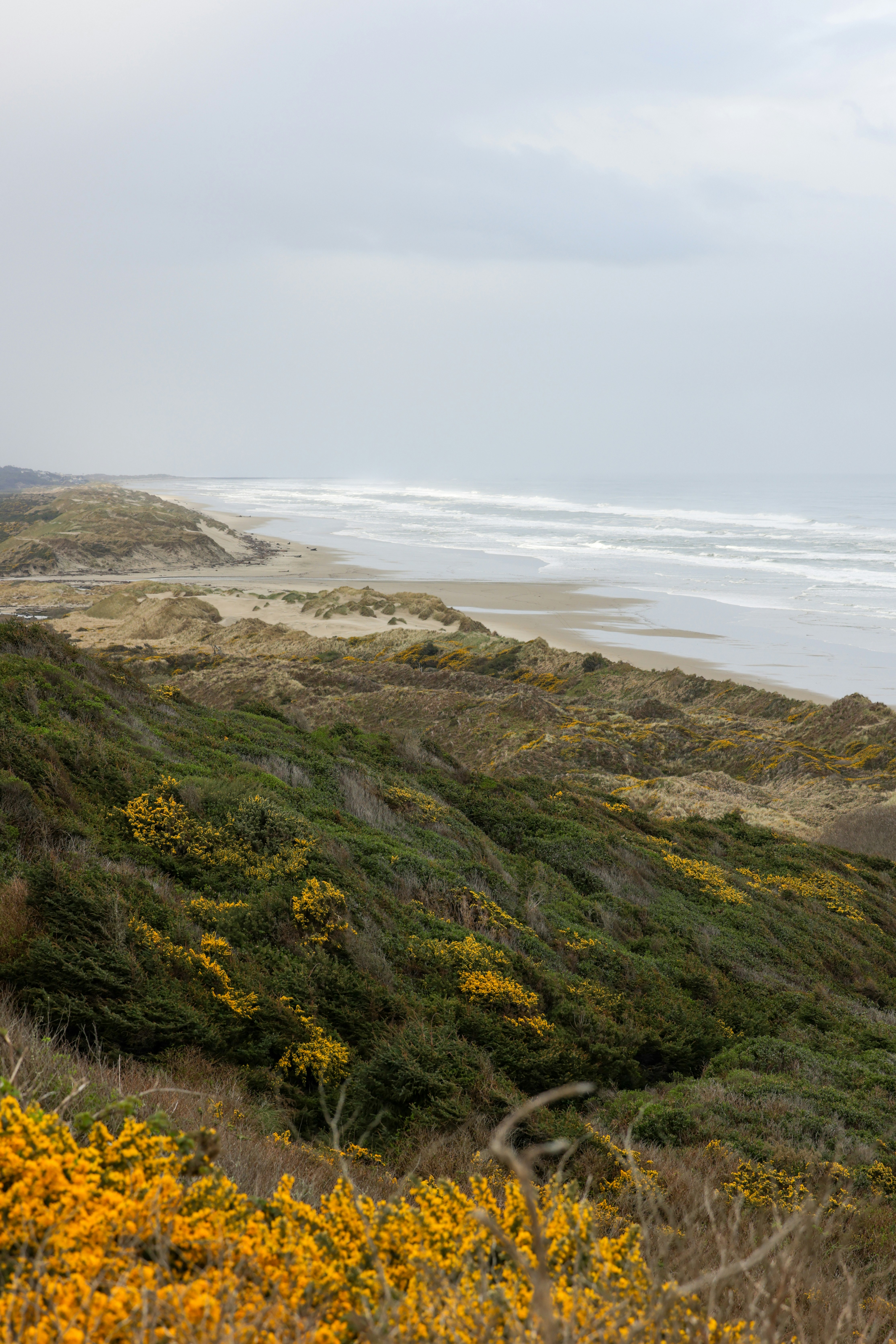 Photo by casunshine0508