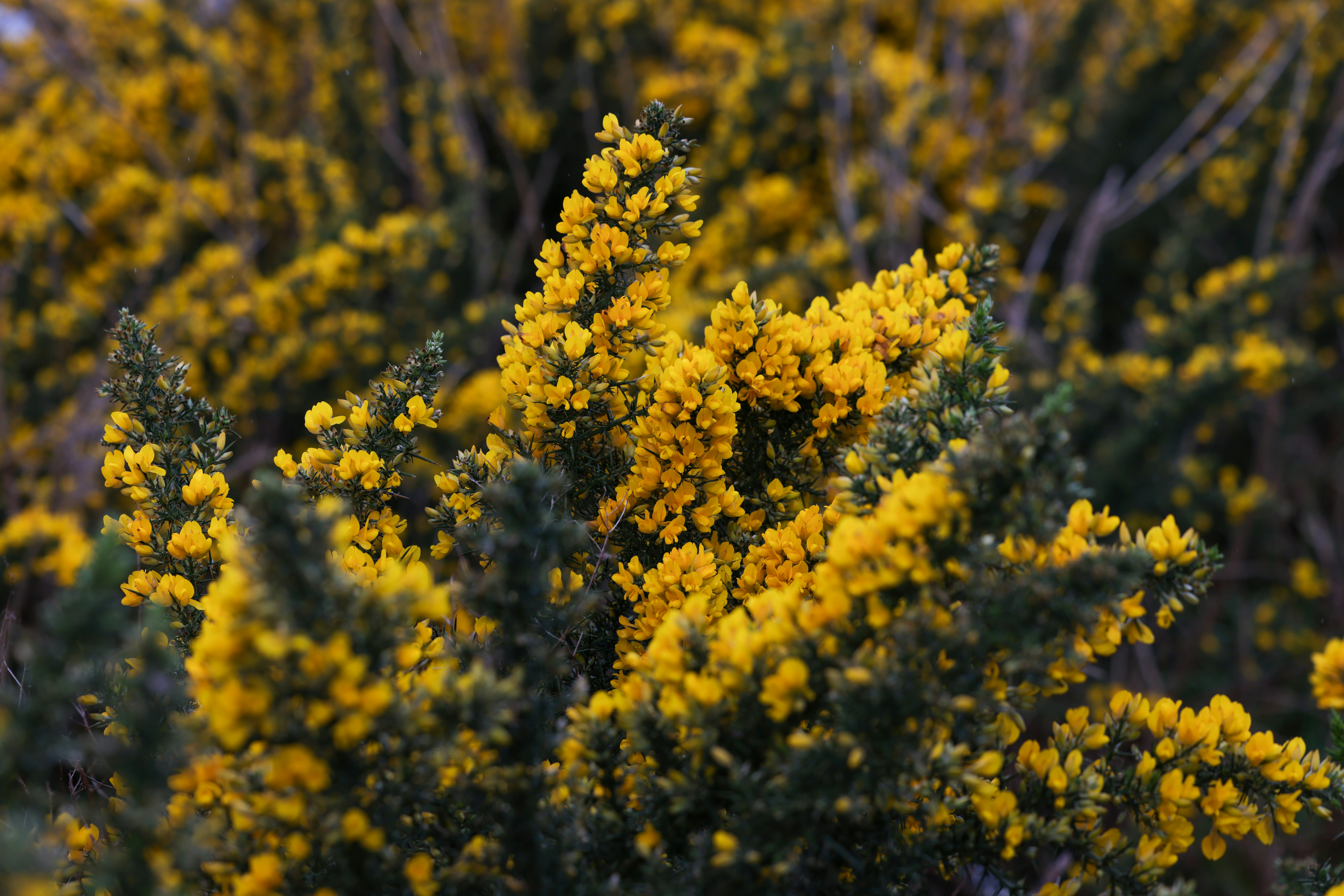 Photo by casunshine0508