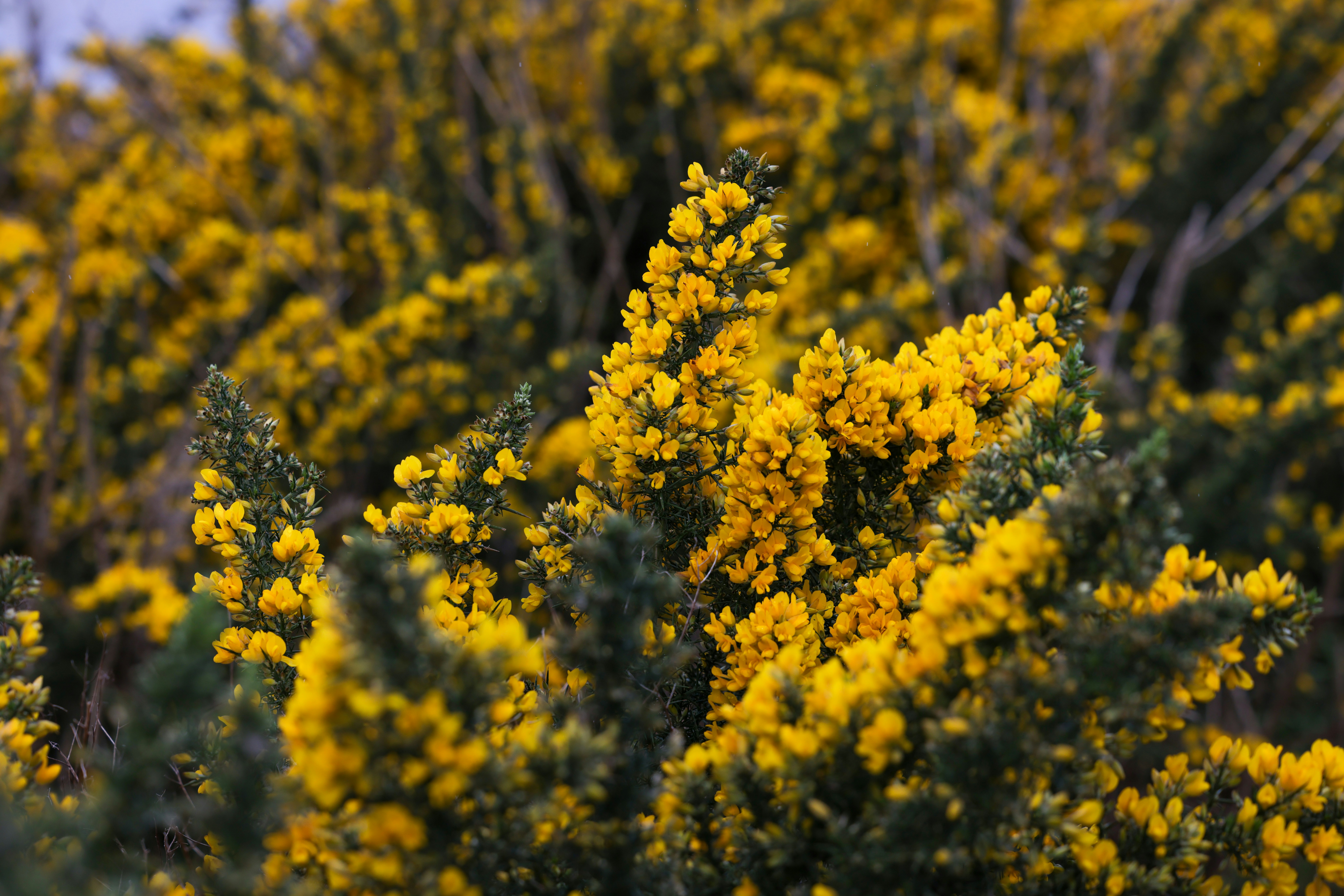 Photo by casunshine0508