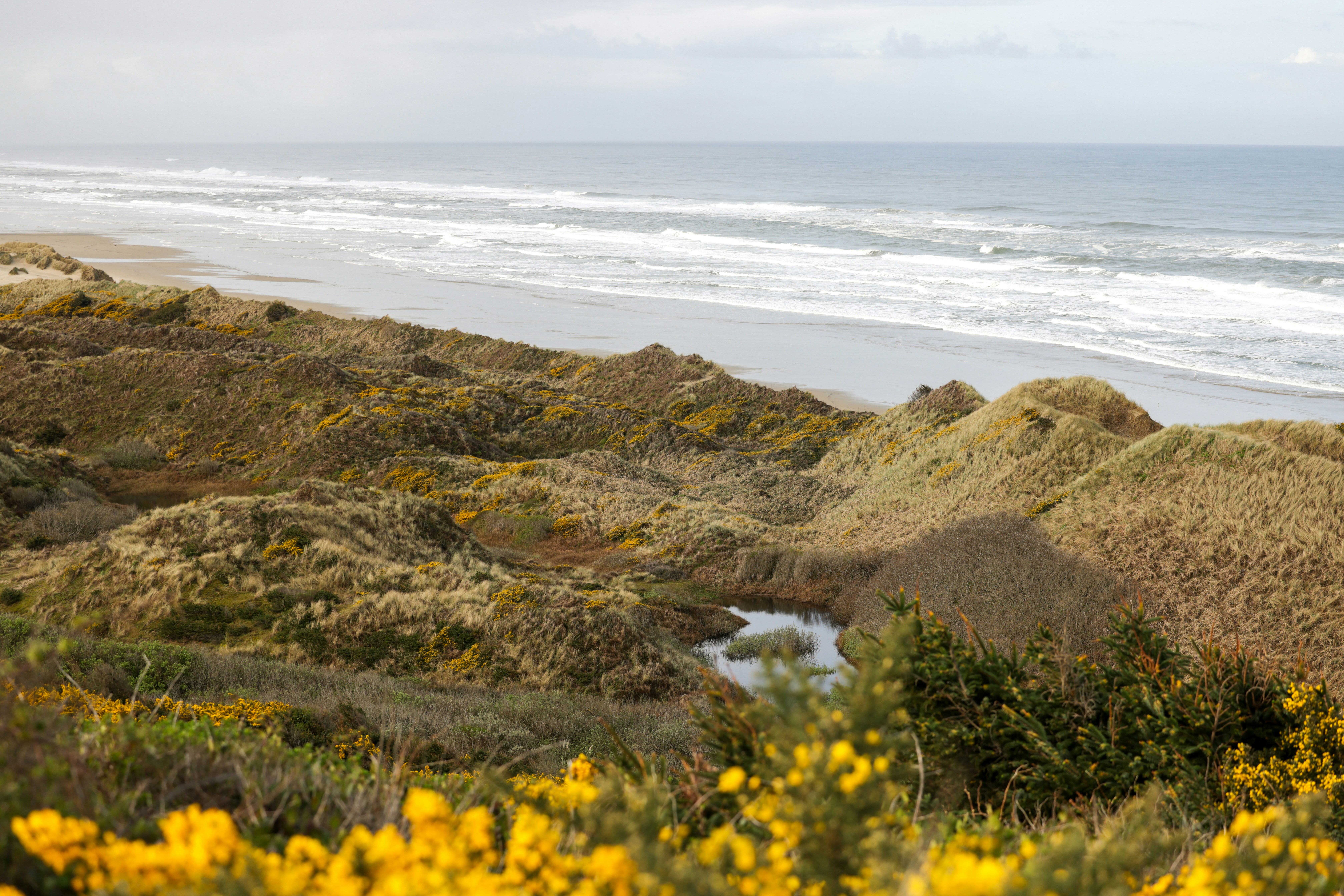 Photo by casunshine0508