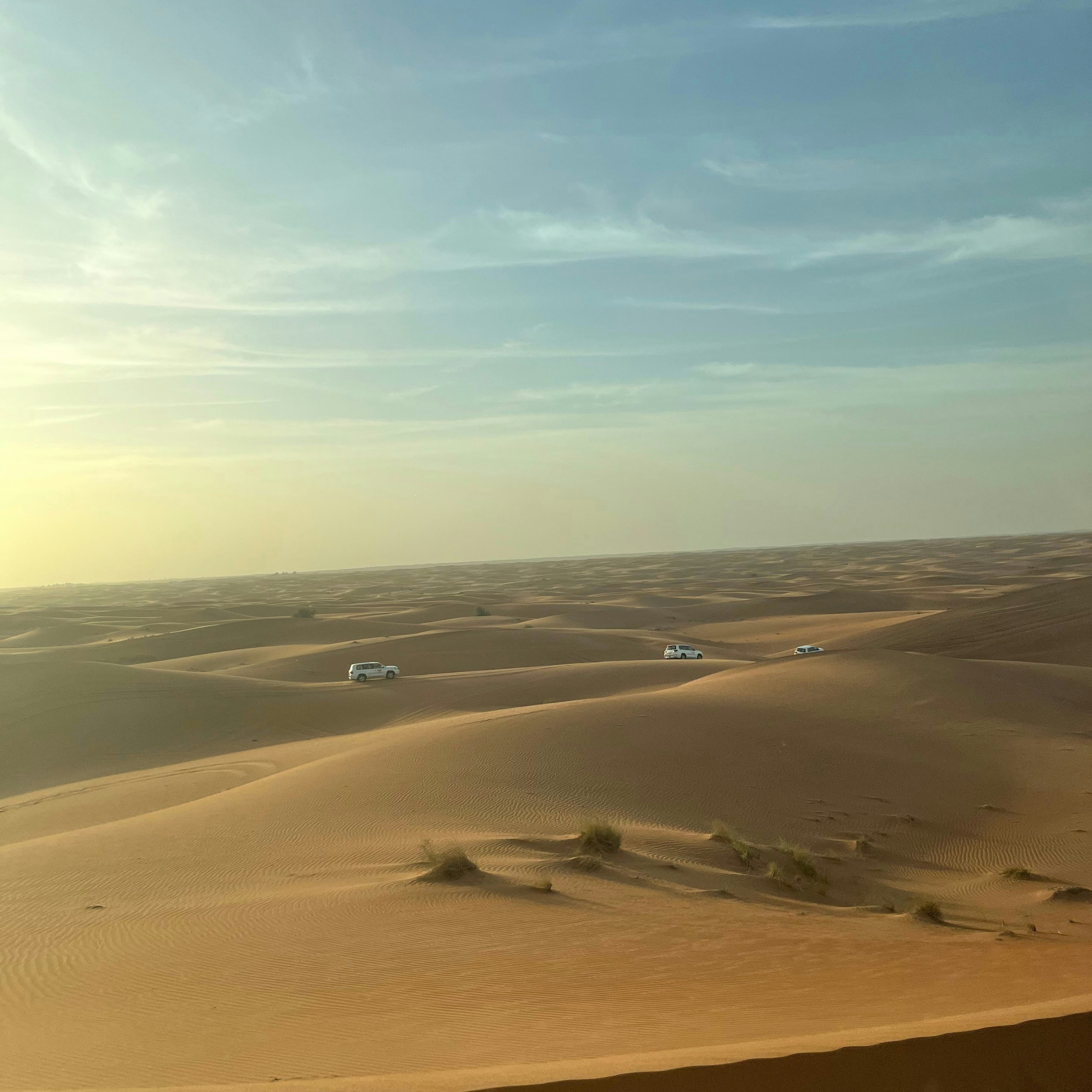 Photo by carolinarboleda813