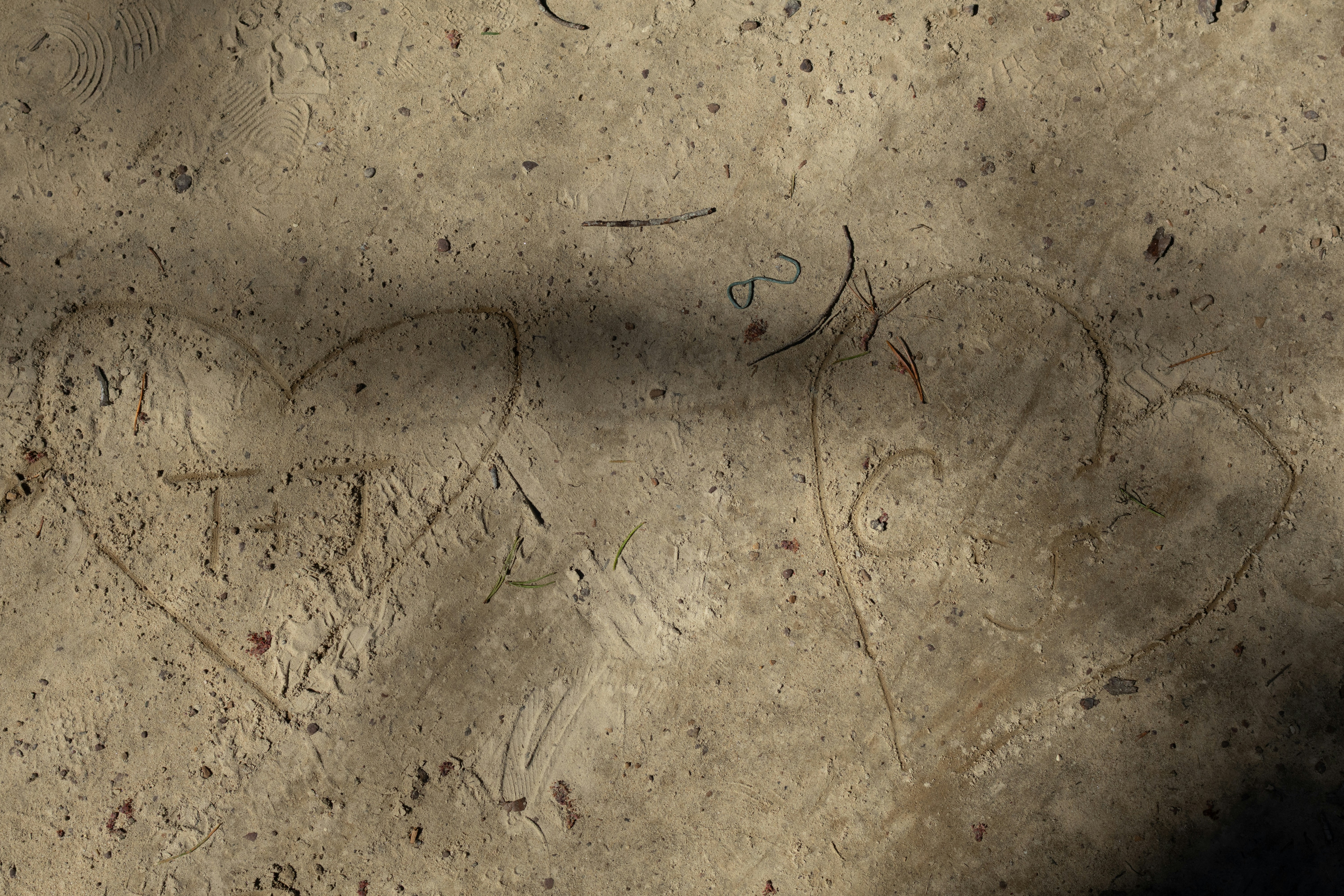 Two hearts with initials are carved.