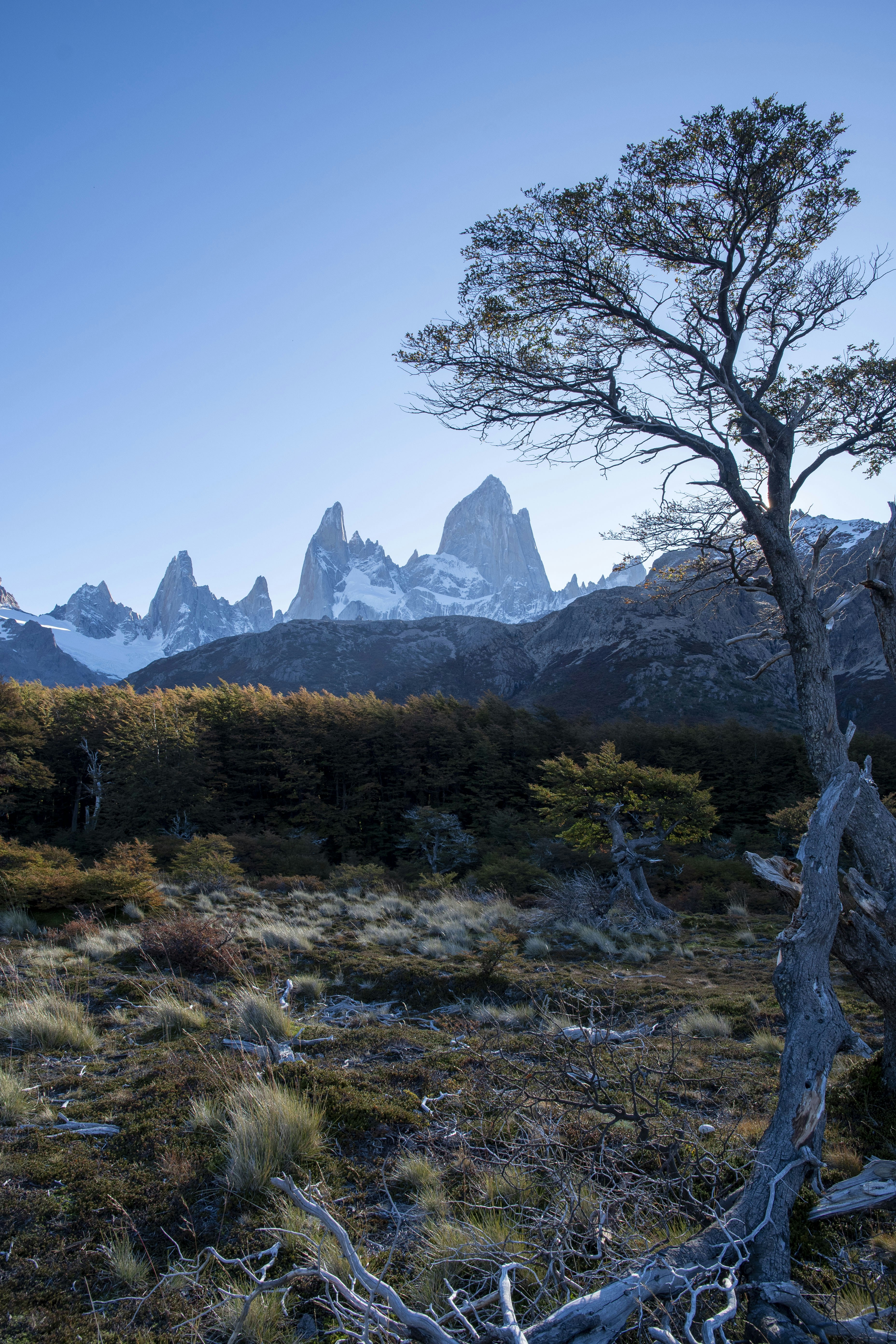 Photo by emilioborraz