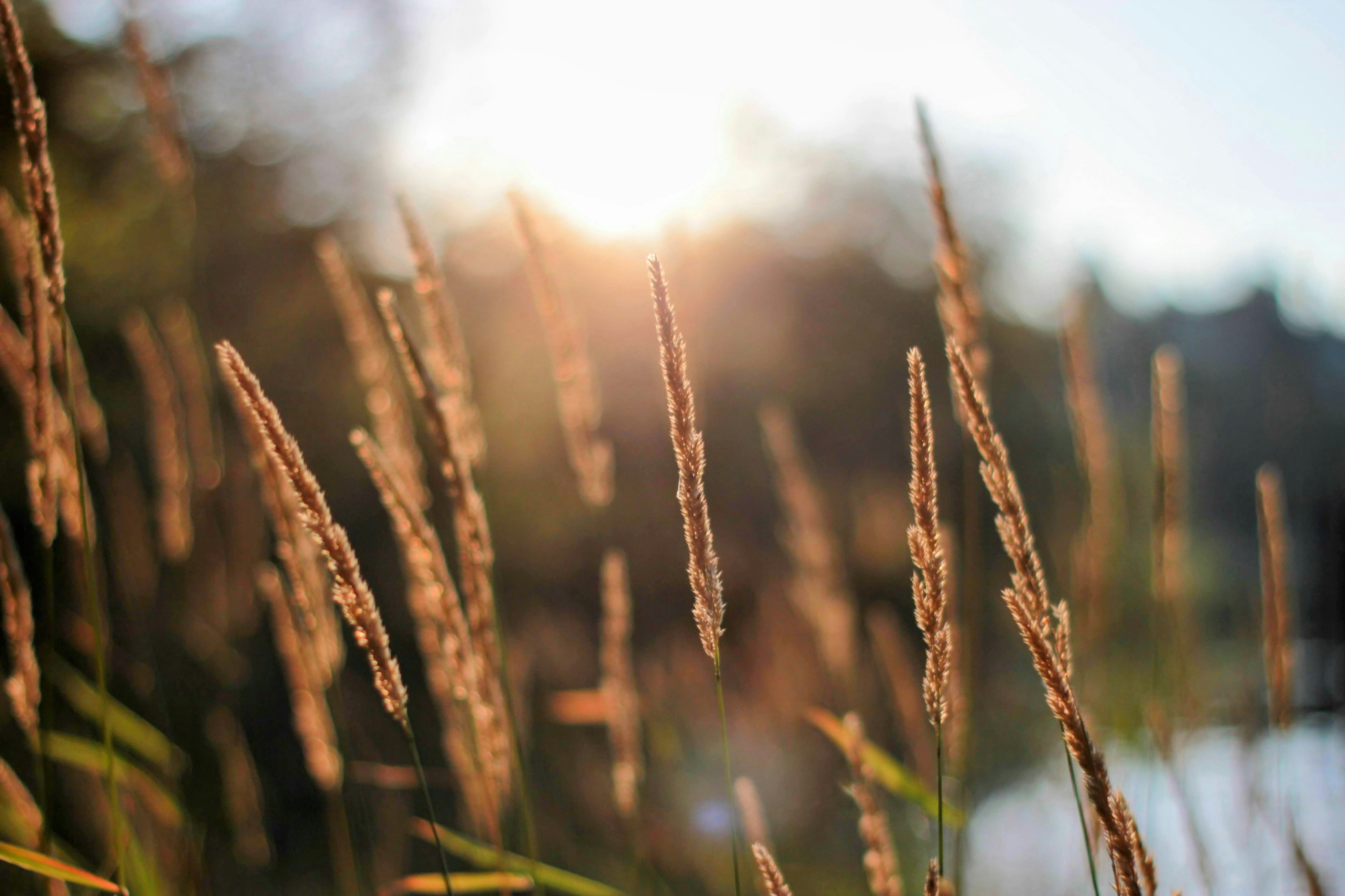 Photo by heyjaynephoto