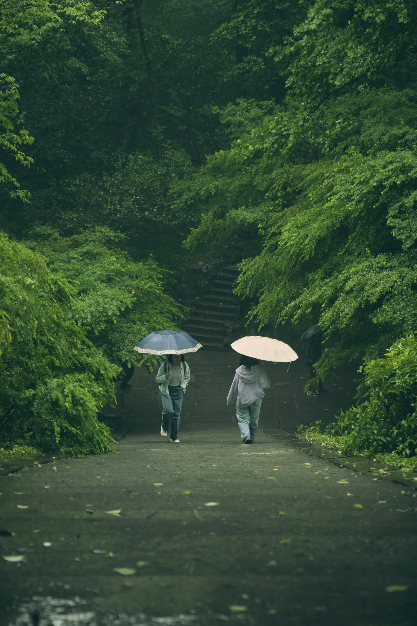 杭州雨后的绿色公园里，两个人撑伞散步