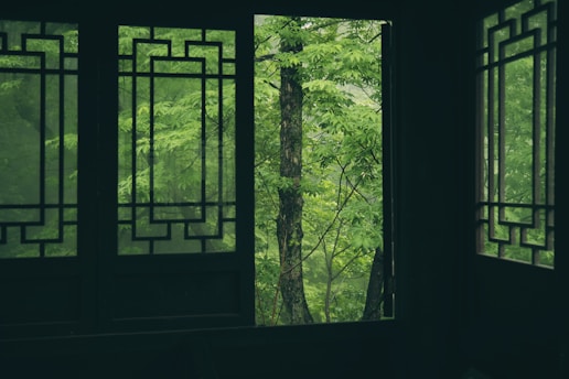 Windows frame a lush green forest view.