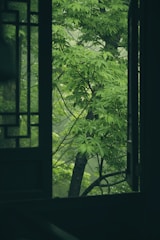 An open window frames lush green foliage.