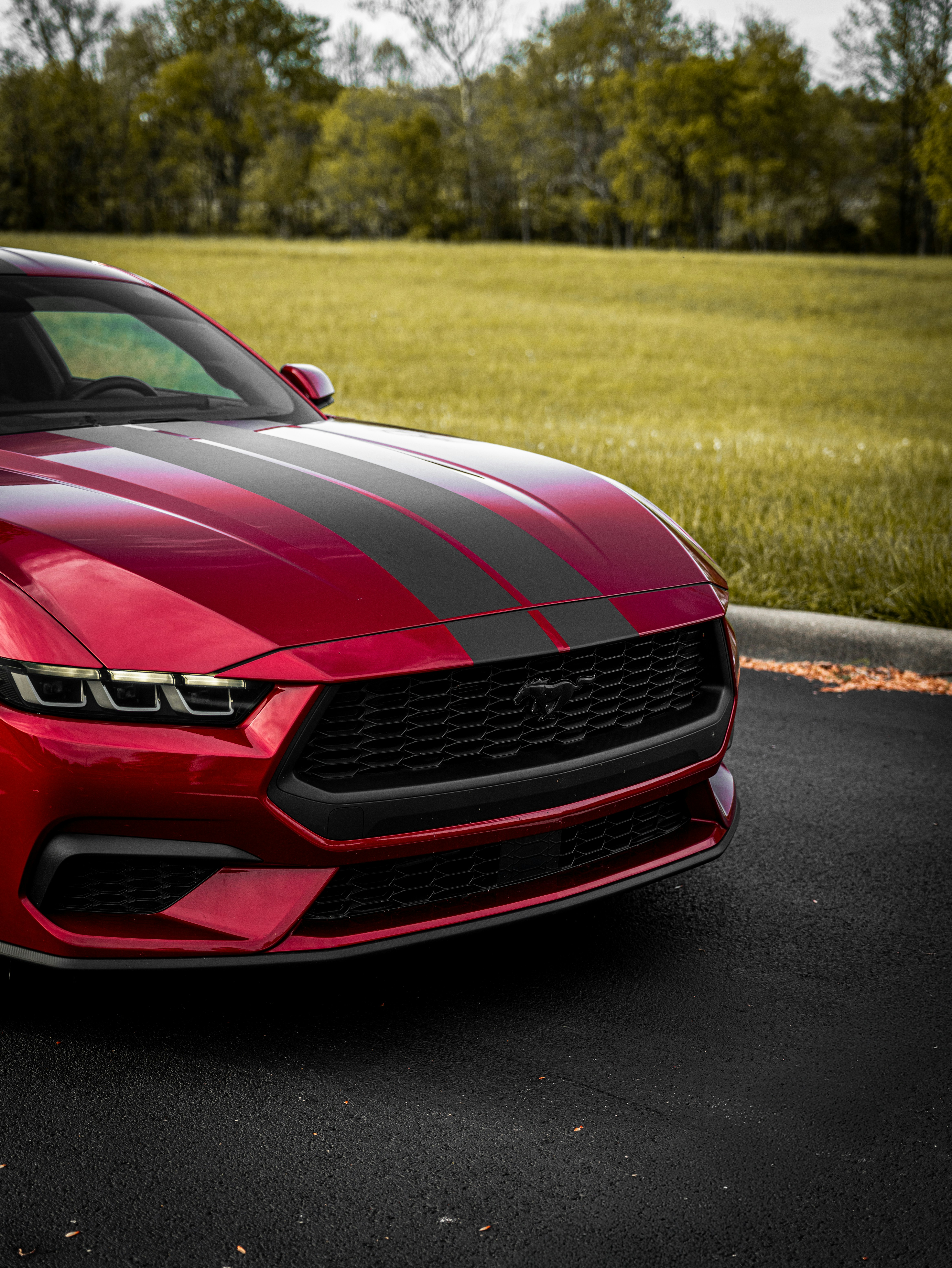 Photo by mauro_bueso