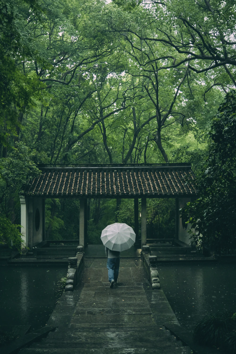 雨中撑伞走过中式亭台的人