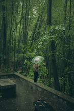 A person stands in the rain in a forest.